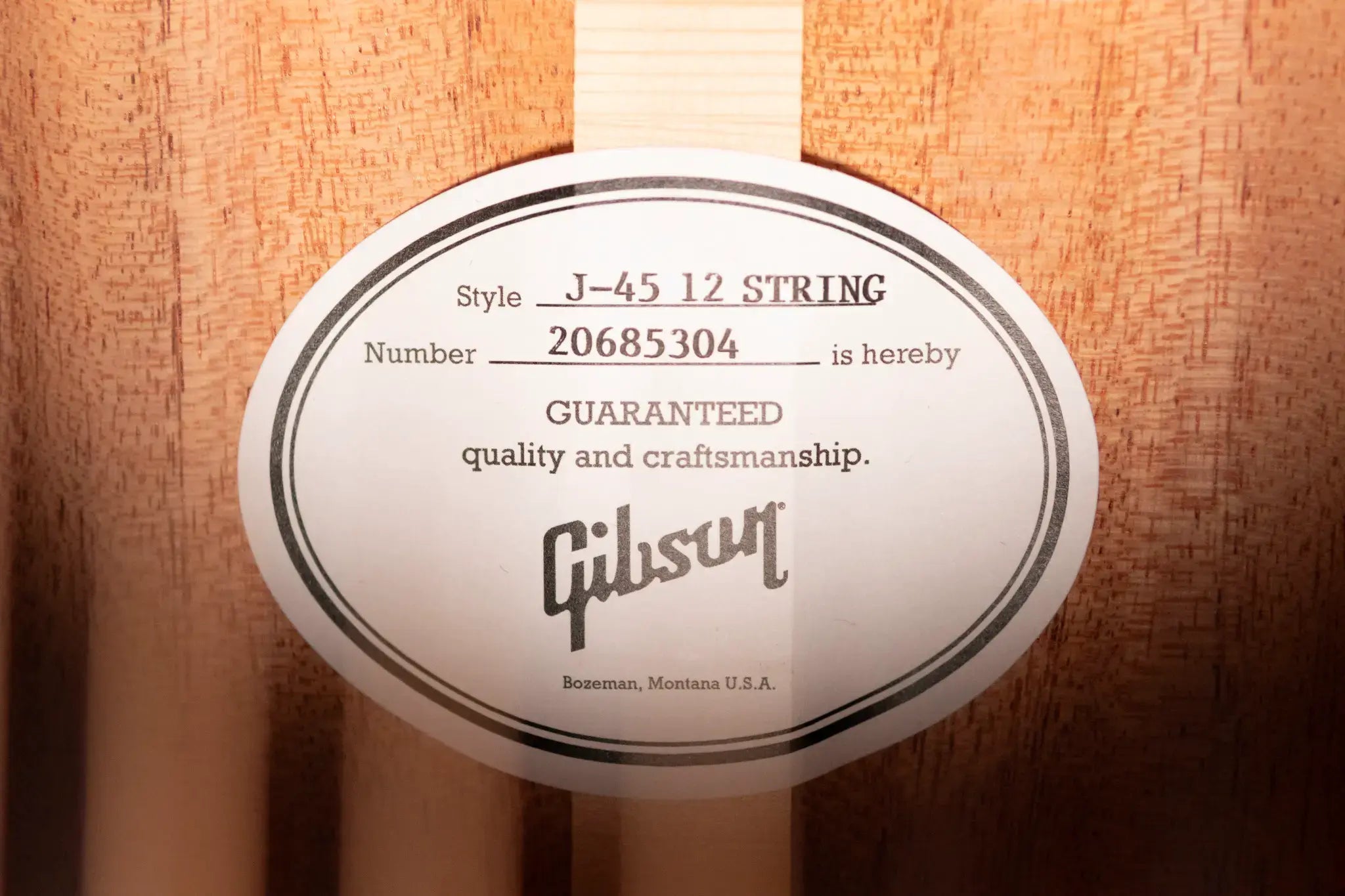 Gibson J-45 Standard 12-String Acoustic/Electric Guitar - Vintage Sunburst with Hardshell Case