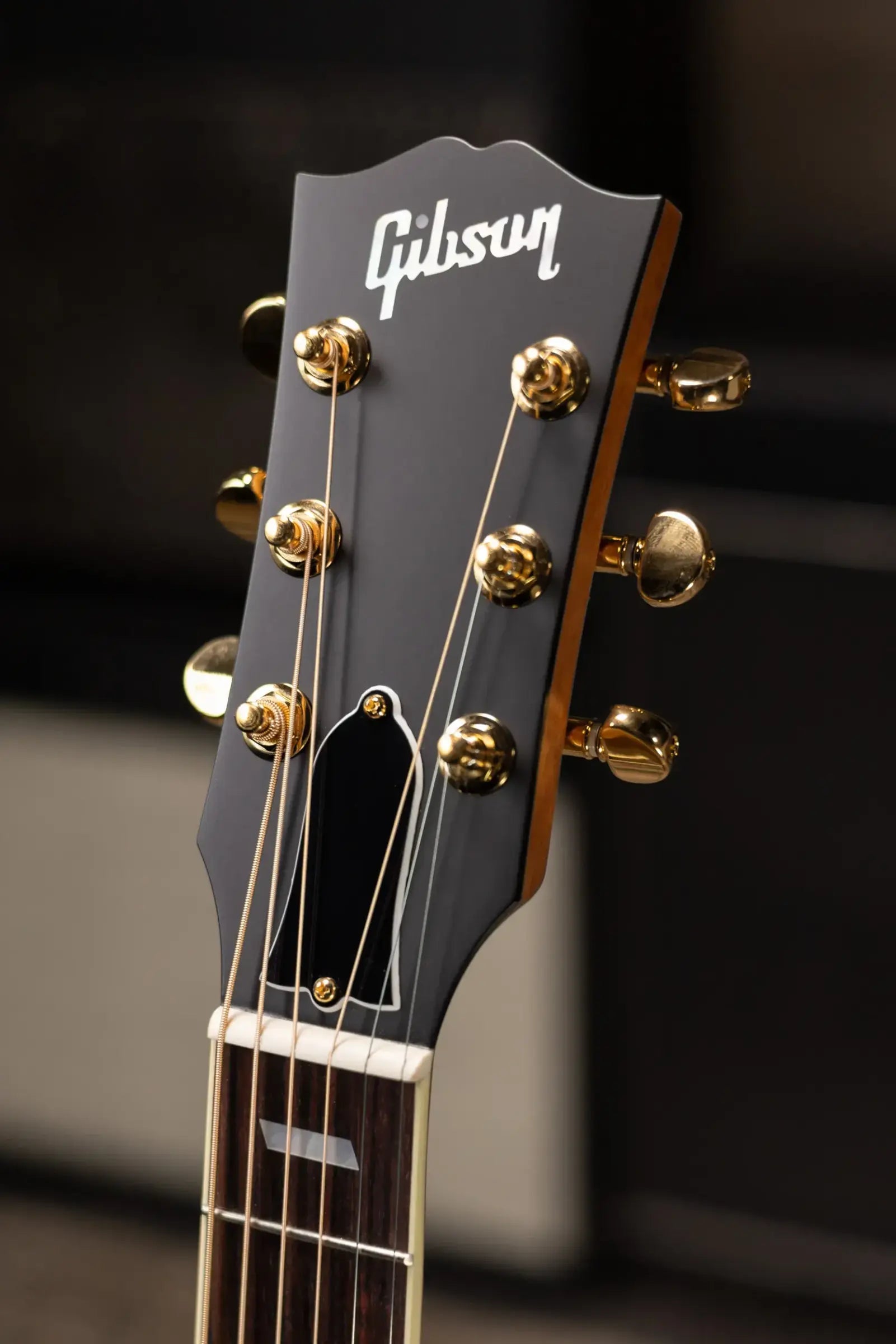 Gibson Parlor Rosewood EC Acoustic/Electric Guitar - Rosewood Burst with Hardshell Case