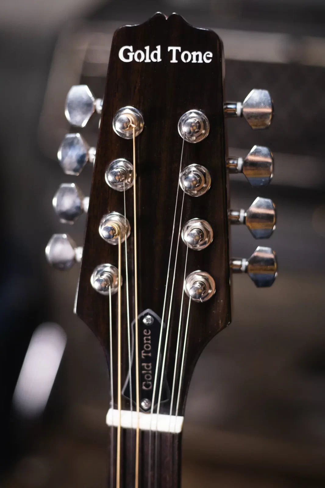 Gold Tone BZ-500 Irish Bouzouki Mandolin