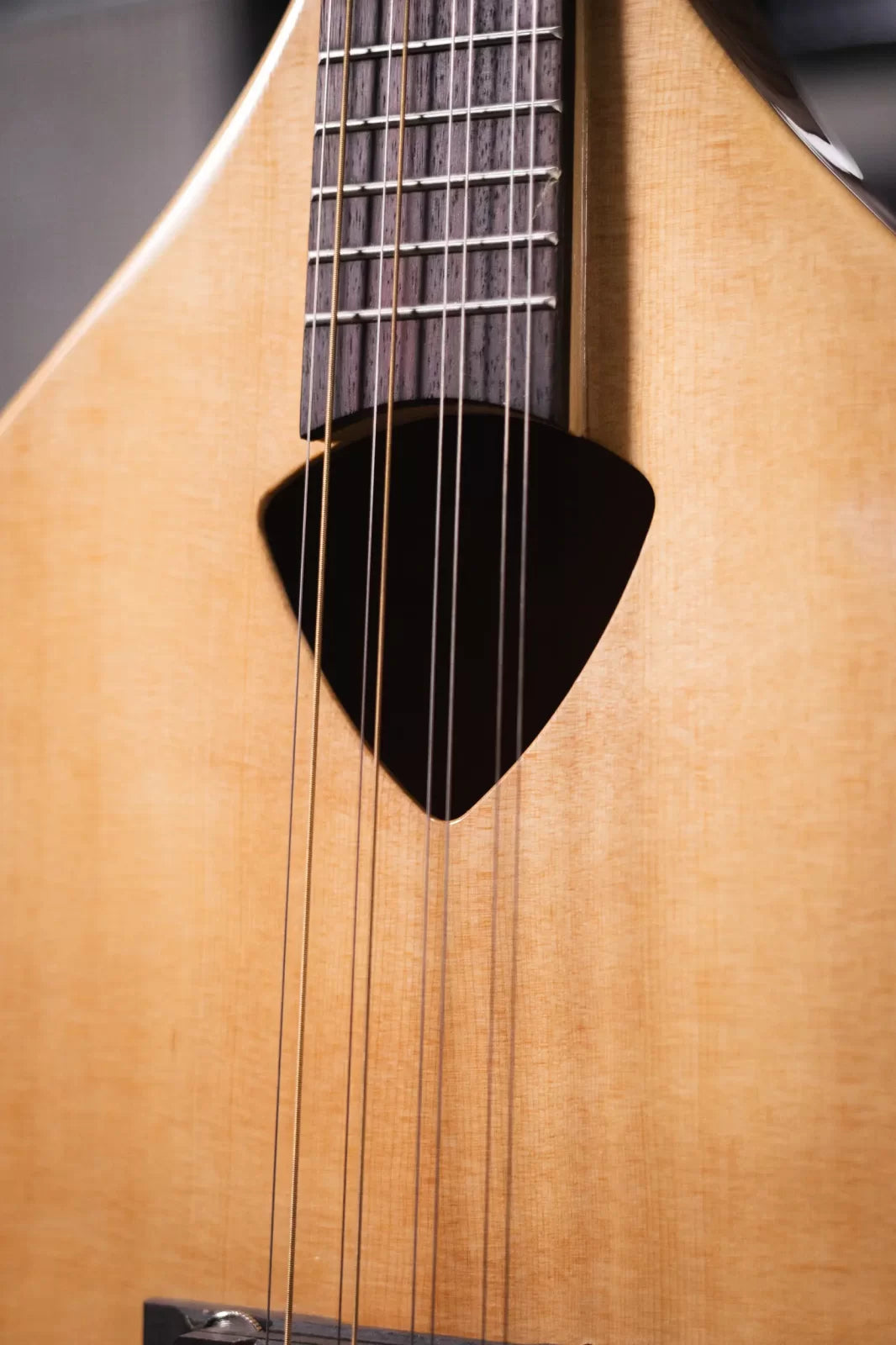 Gold Tone BZ-500 Irish Bouzouki Mandolin