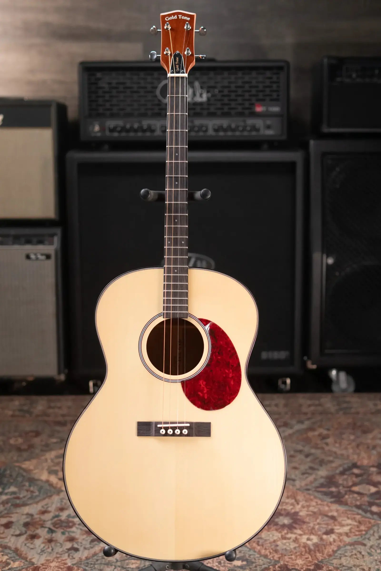 Gold Tone TG-10 Tenor Guitar with Gig Bag