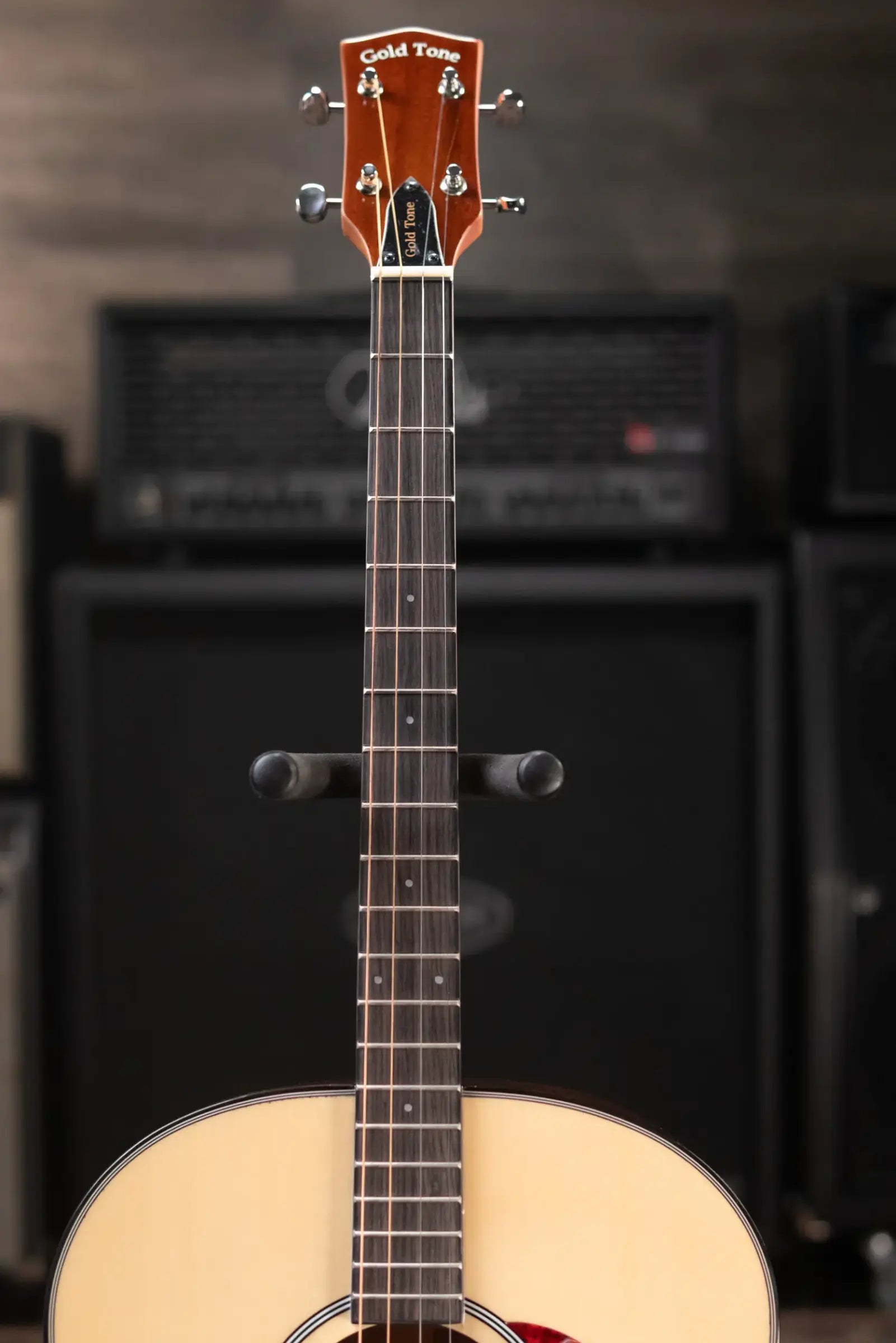 Gold Tone TG-10 Tenor Guitar with Gig Bag