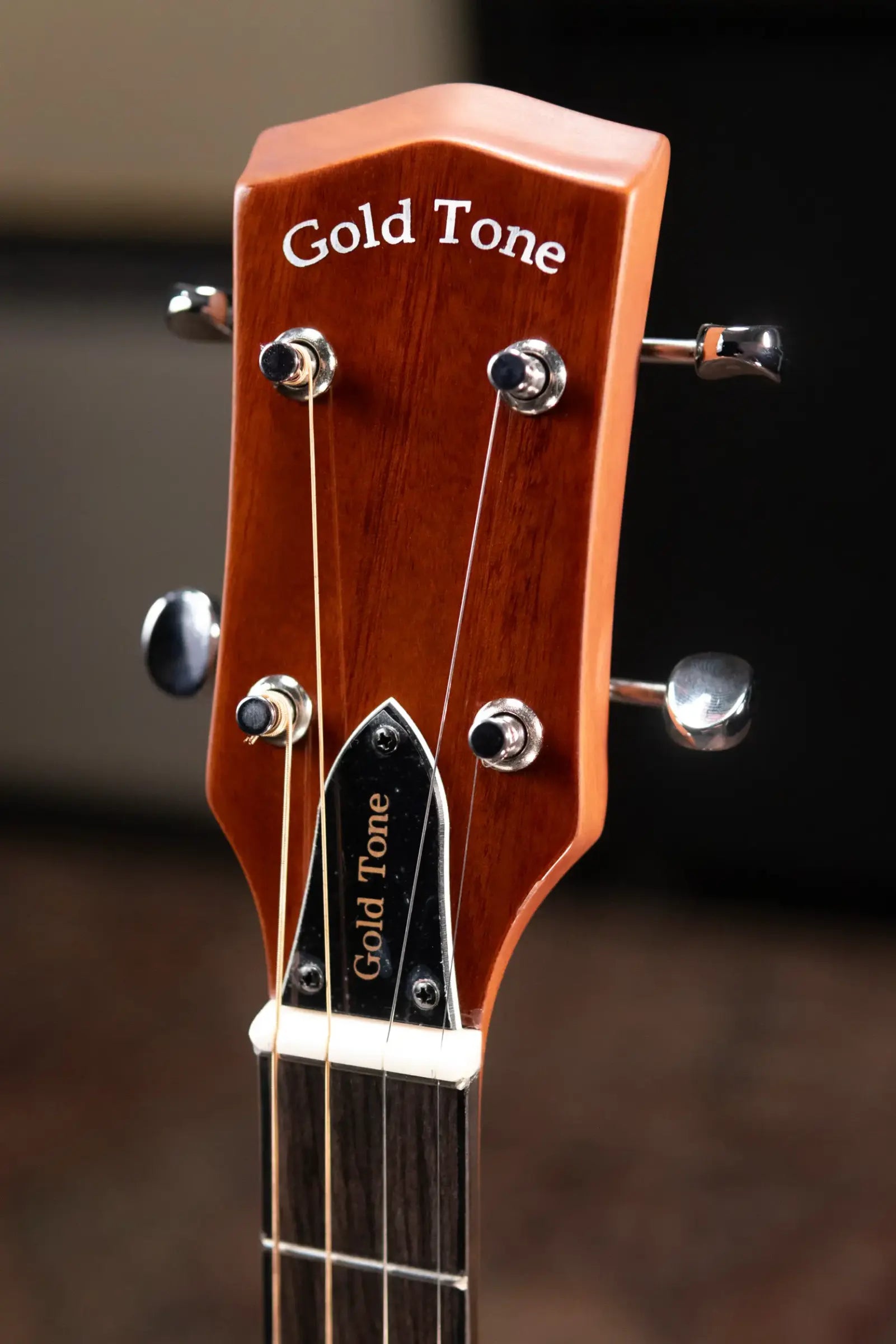 Gold Tone TG-10 Tenor Guitar with Gig Bag