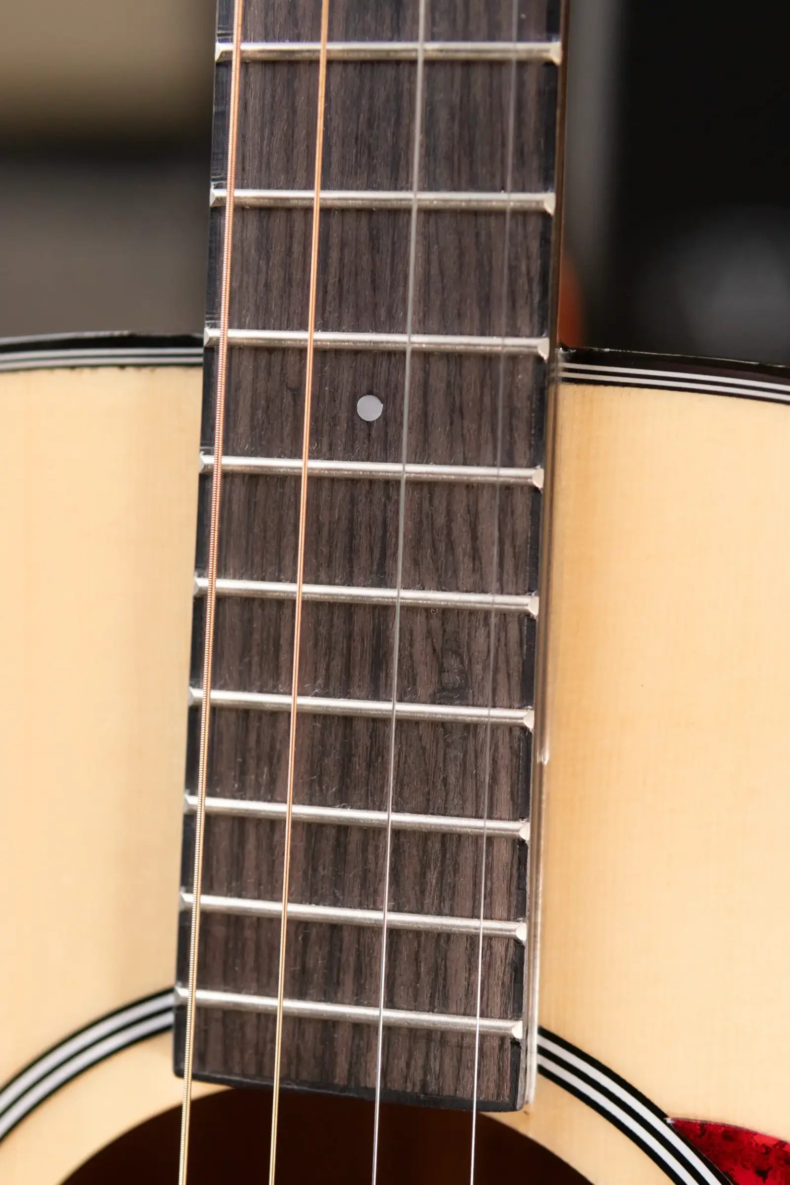 Gold Tone TG-10 Tenor Guitar with Gig Bag