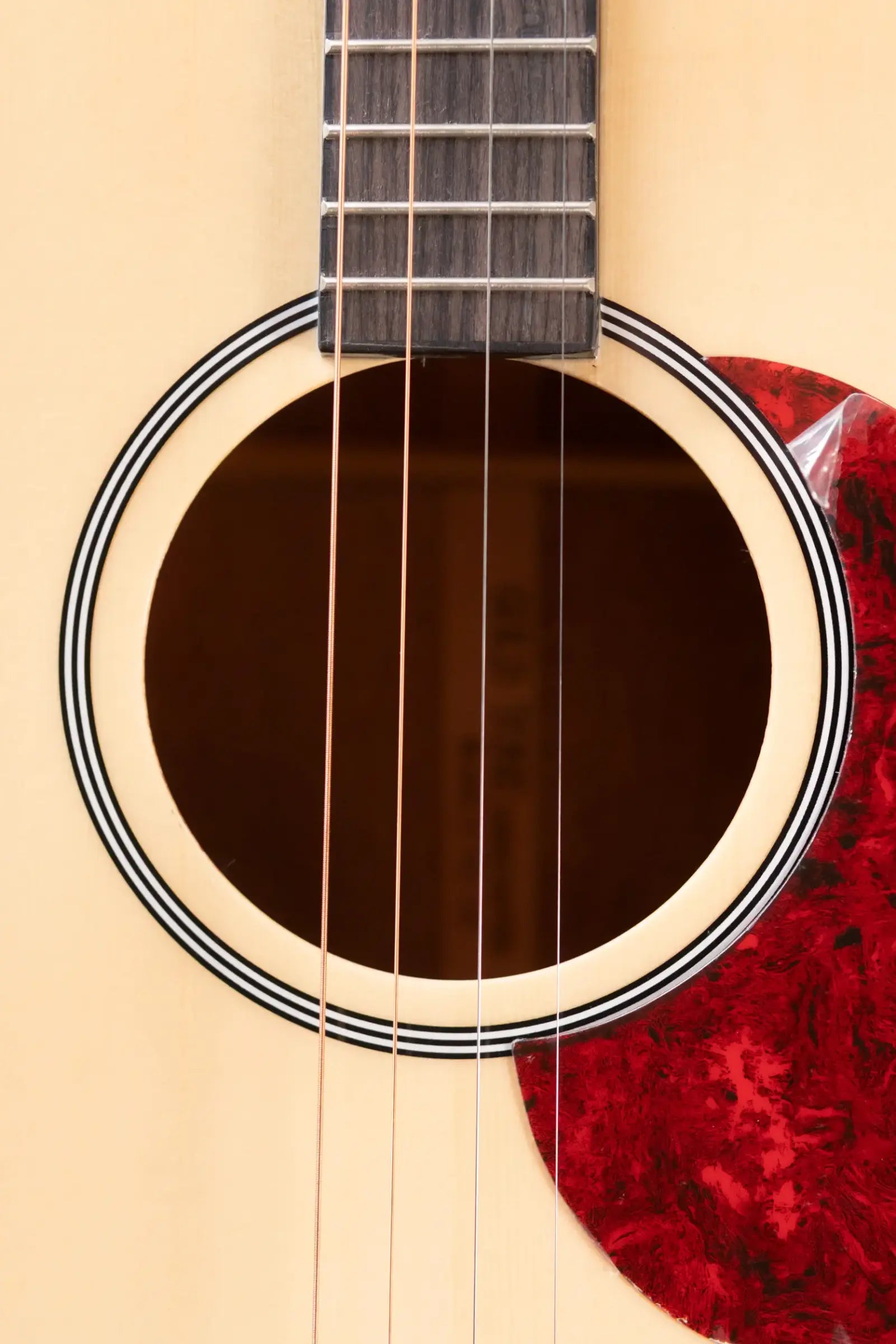 Gold Tone TG-10 Tenor Guitar with Gig Bag