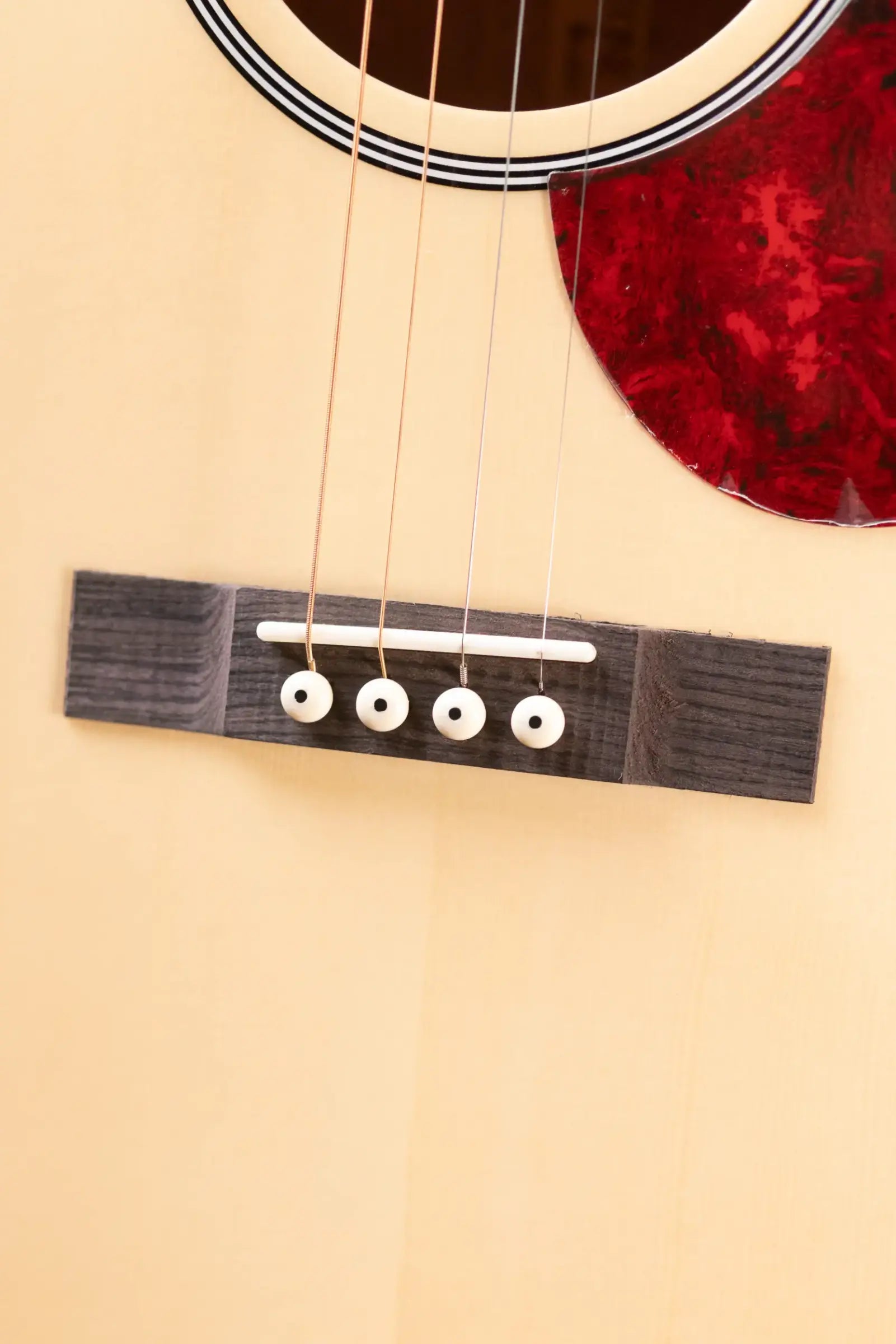 Gold Tone TG-10 Tenor Guitar with Gig Bag