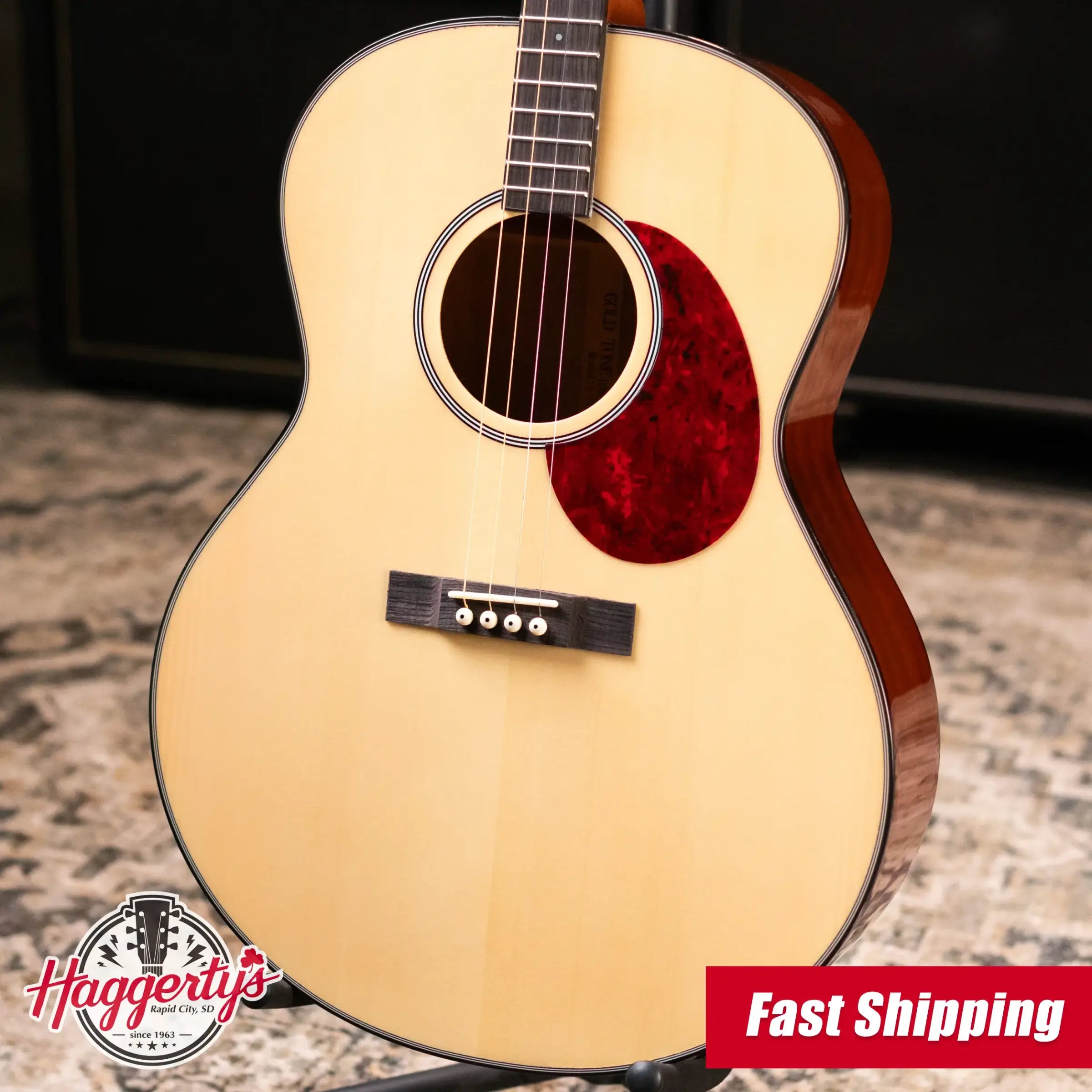 Gold Tone TG-10 Tenor Guitar with Gig Bag - Floor Model