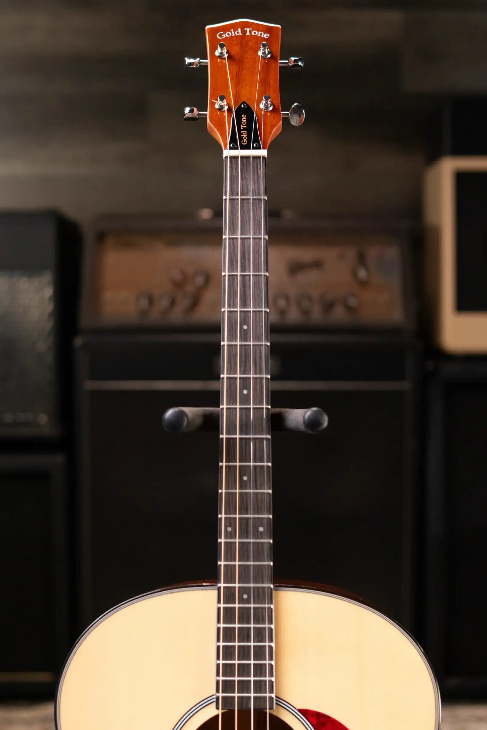 Gold Tone TG-10 Tenor Guitar with Gig Bag - Floor Model