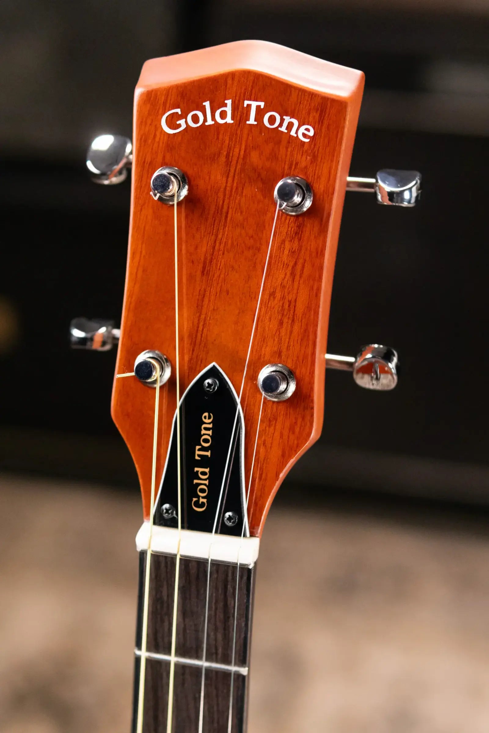 Gold Tone TG-10 Tenor Guitar with Gig Bag - Floor Model