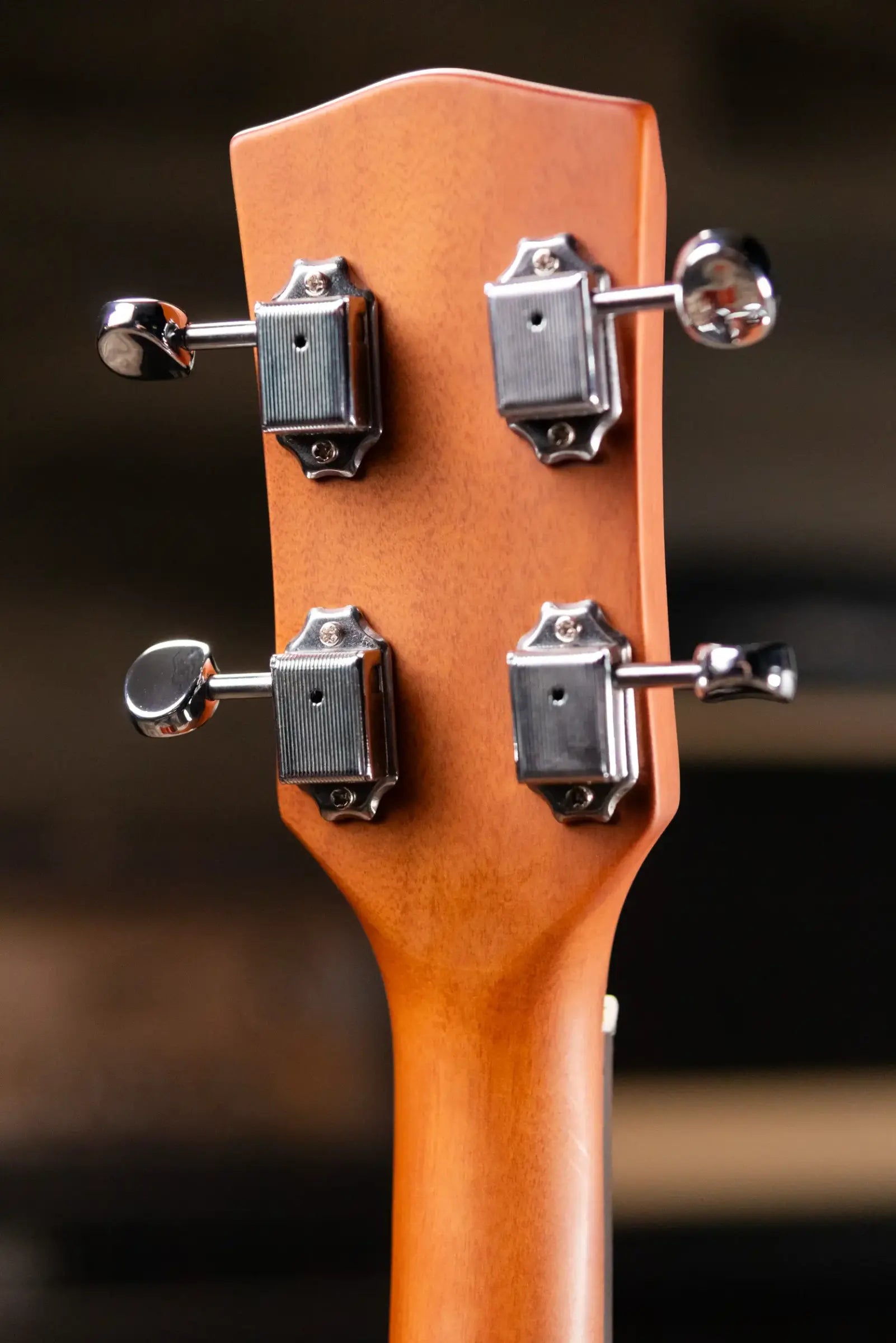 Gold Tone TG-10 Tenor Guitar with Gig Bag - Floor Model