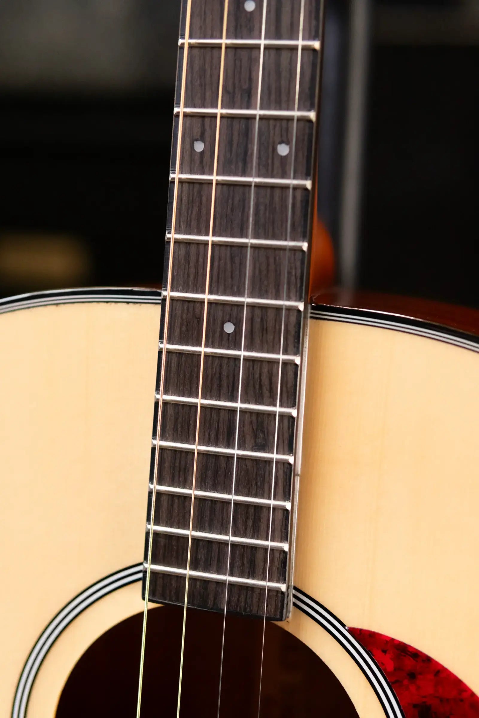 Gold Tone TG-10 Tenor Guitar with Gig Bag - Floor Model