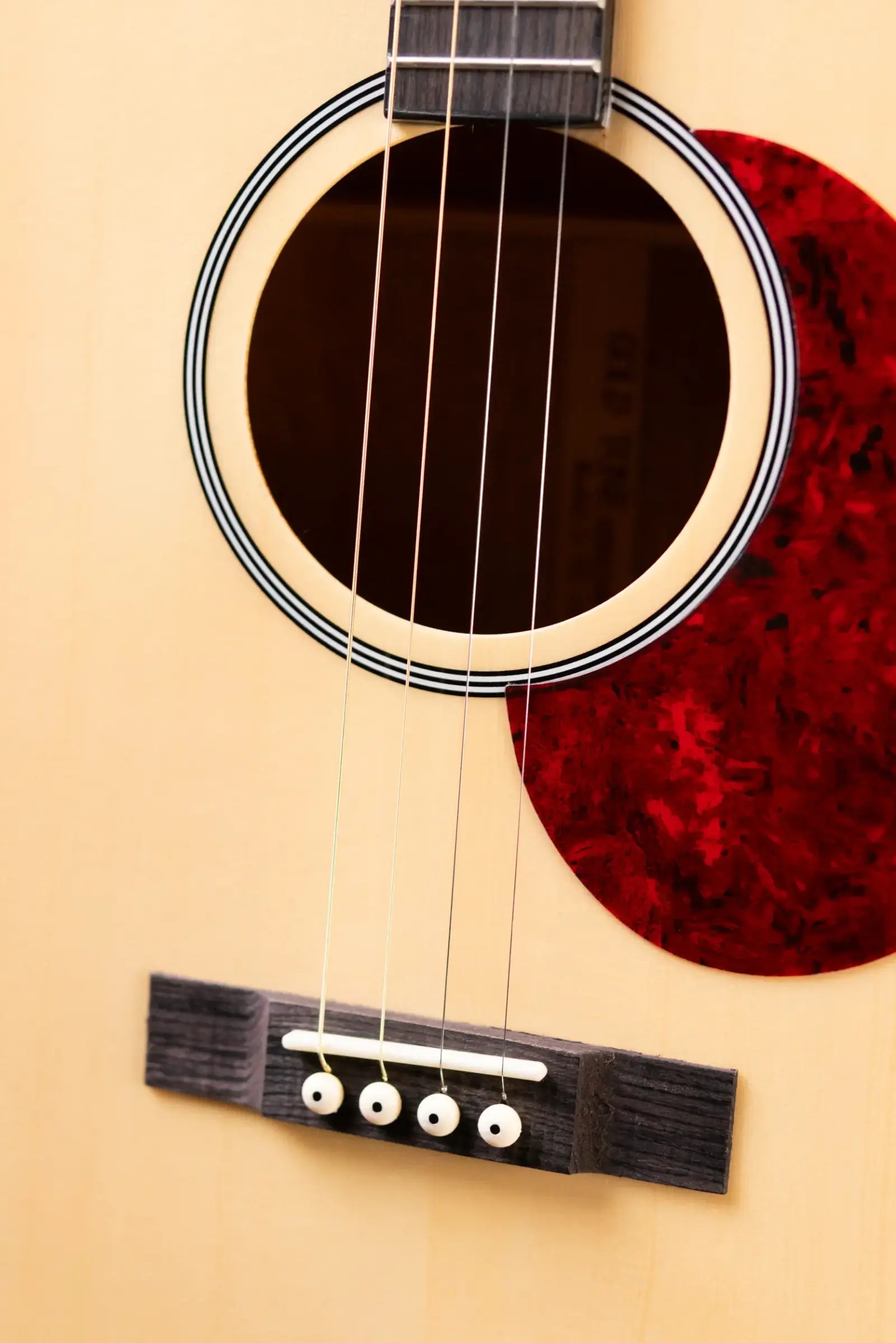 Gold Tone TG-10 Tenor Guitar with Gig Bag - Floor Model