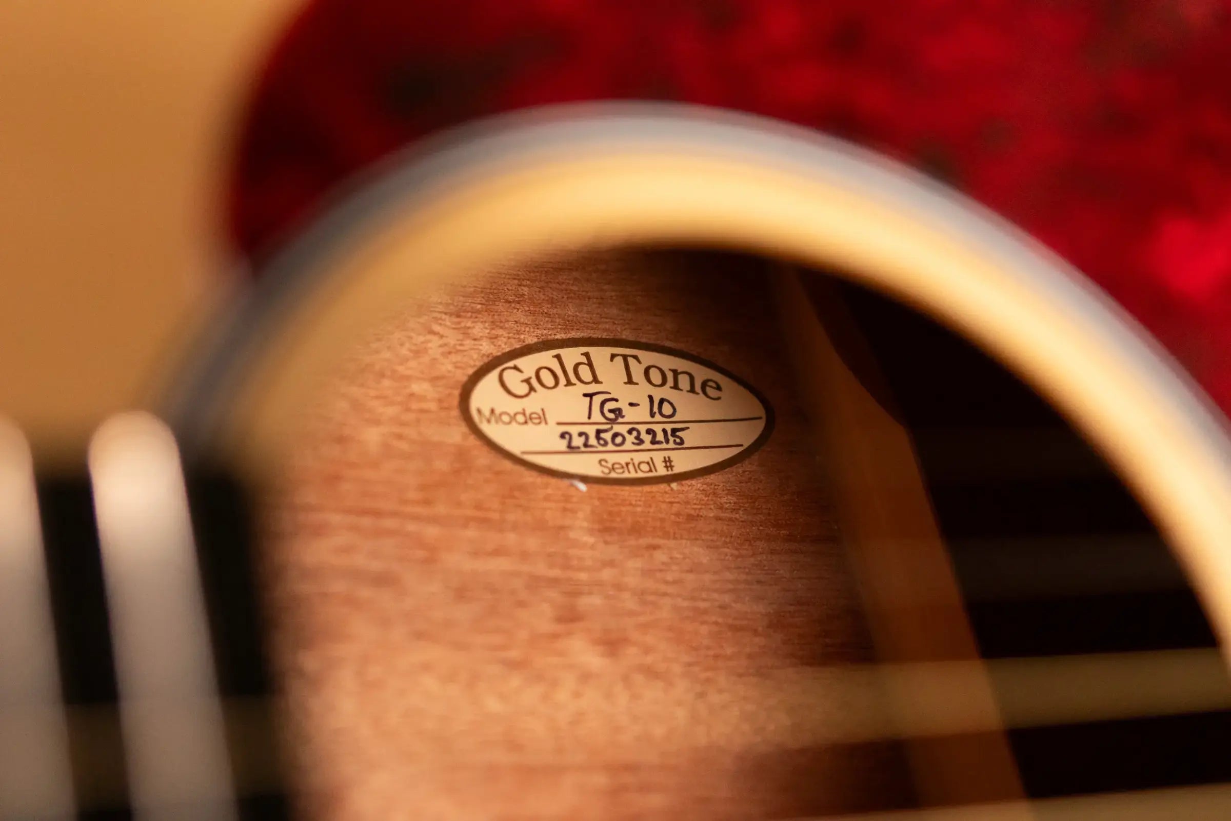 Gold Tone TG-10 Tenor Guitar with Gig Bag - Floor Model