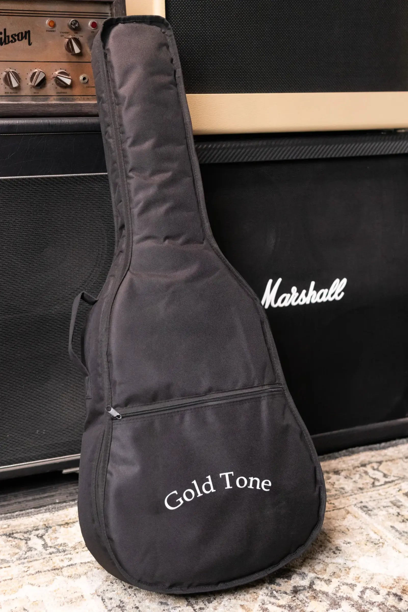 Gold Tone TG-10 Tenor Guitar with Gig Bag - Floor Model