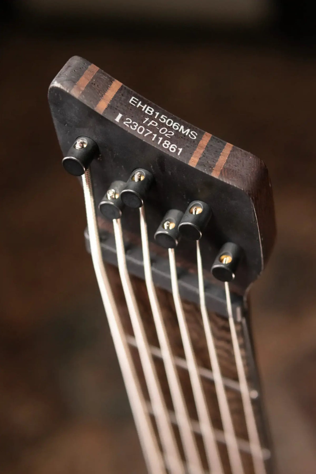 Ibanez EHB1506MS 6-String Electric Bass - Black Ice Flat with Gig Bag - Demo