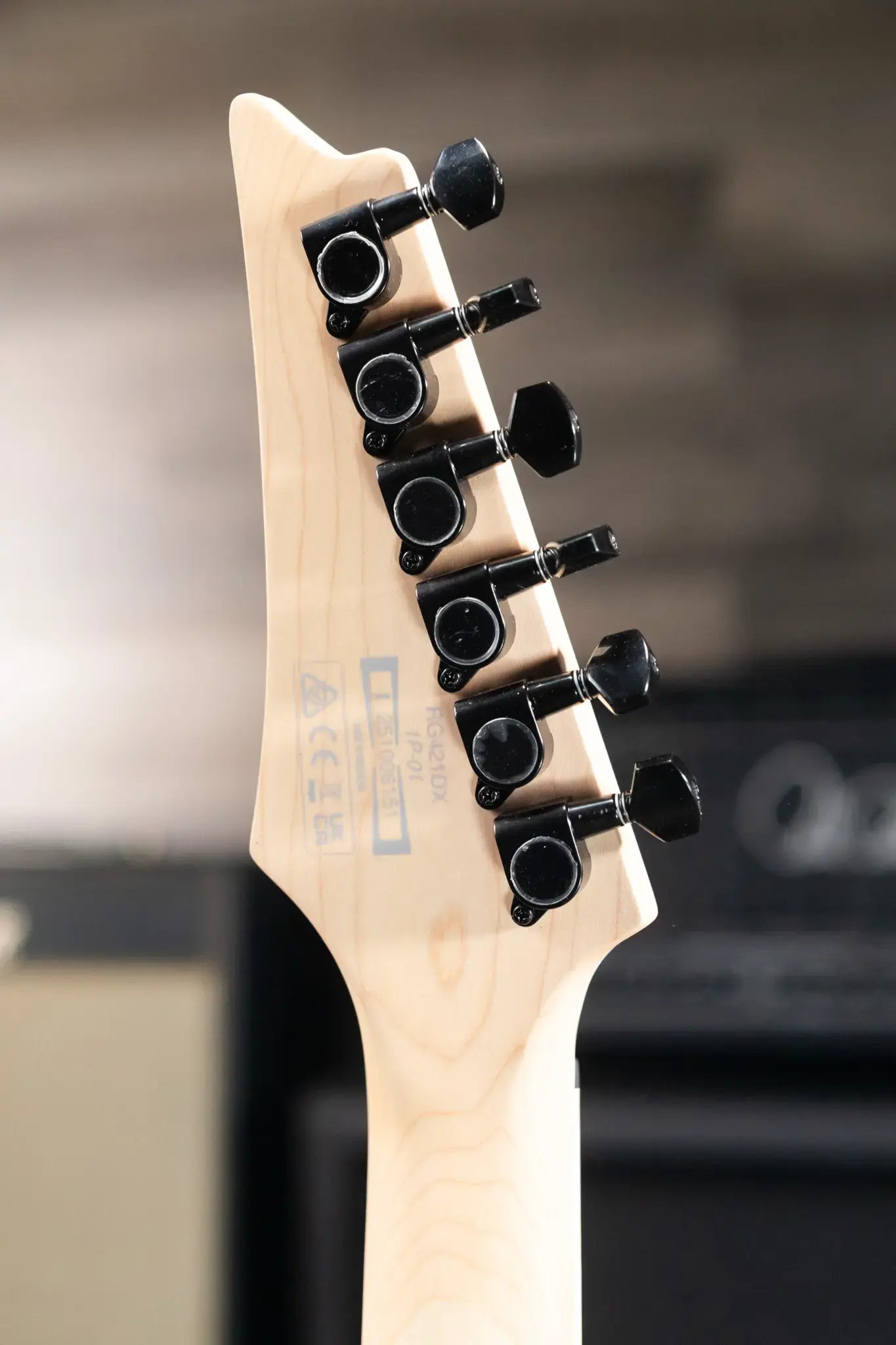 Ibanez RG421DXTWS Standard Electric Guitar - Twilight Shade