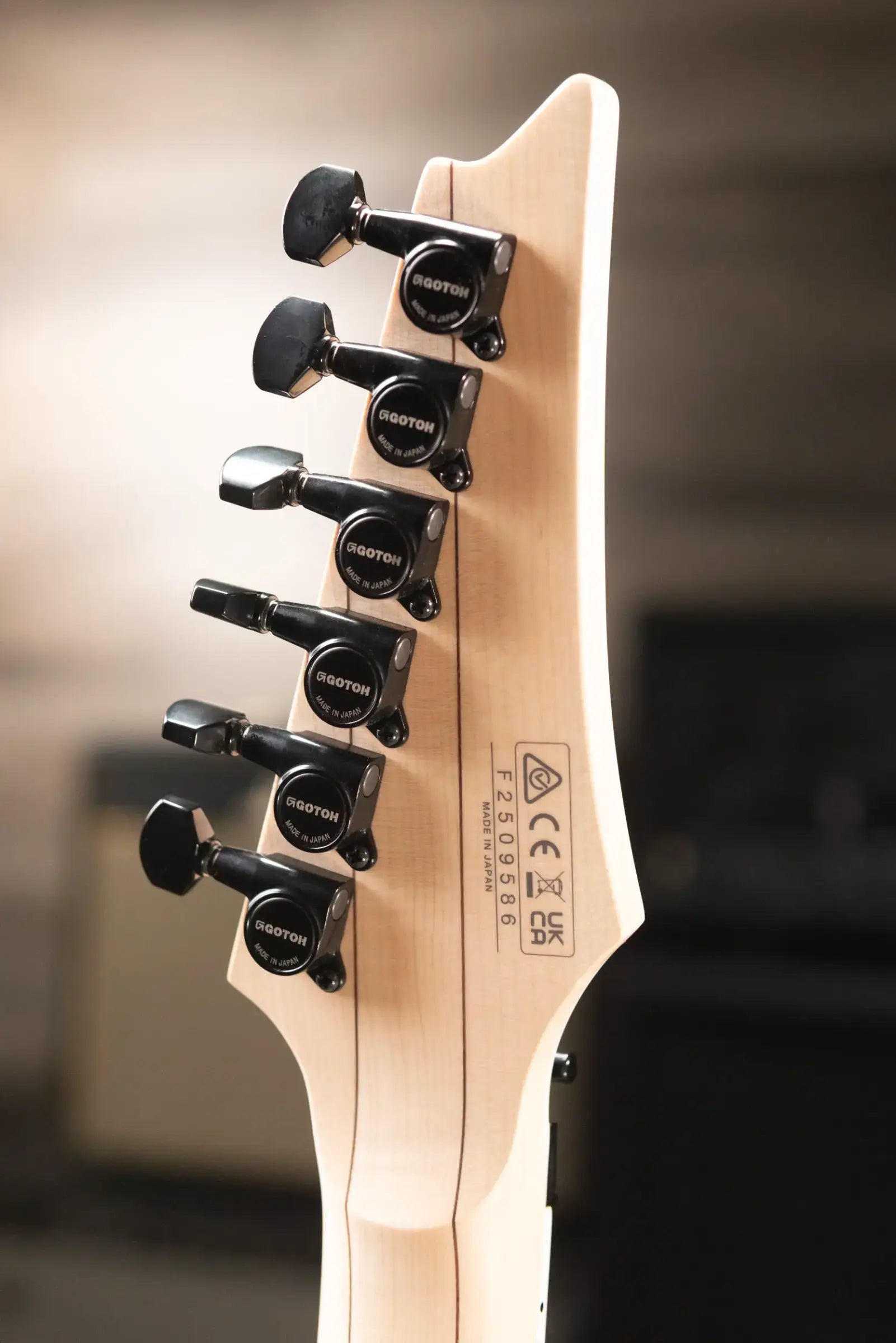 Ibanez RG565REB Genesis Collection Electric Guitar - Electric Blue