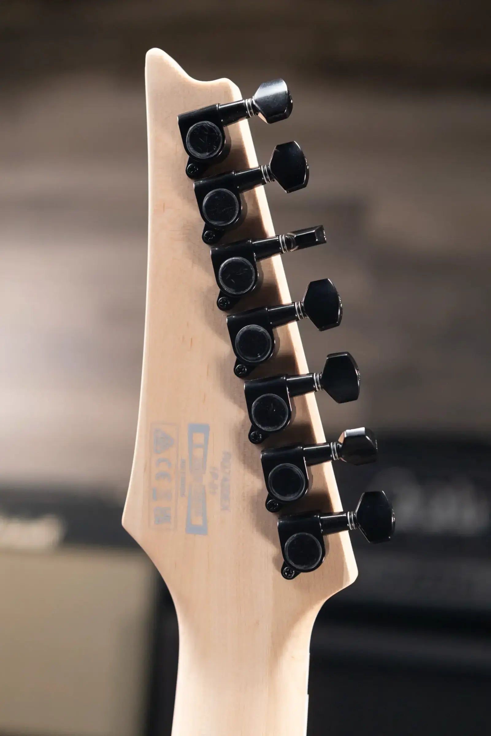 Ibanez RG7420EX 7-String Electric Guitar - Black Flat