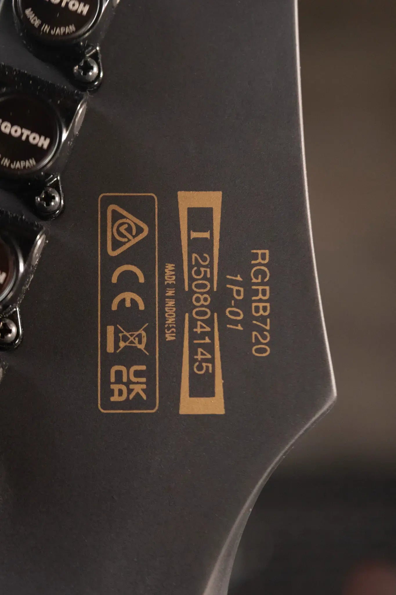 Ibanez RGRB720 Iron Label 7-String Electric Guitar - Black