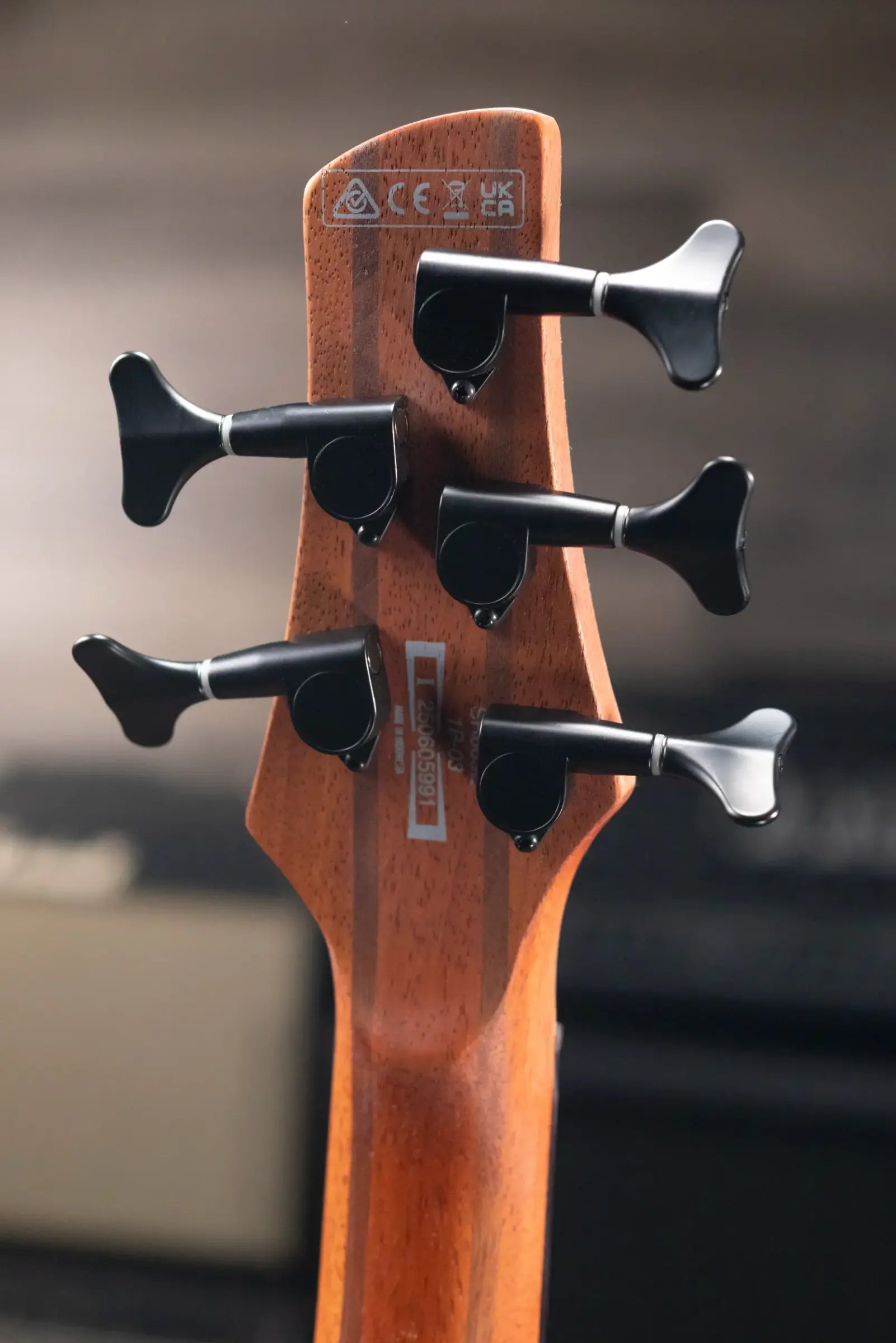 Ibanez SR605E 5-String Electric Bass - Cosmic Blue Starburst Flat