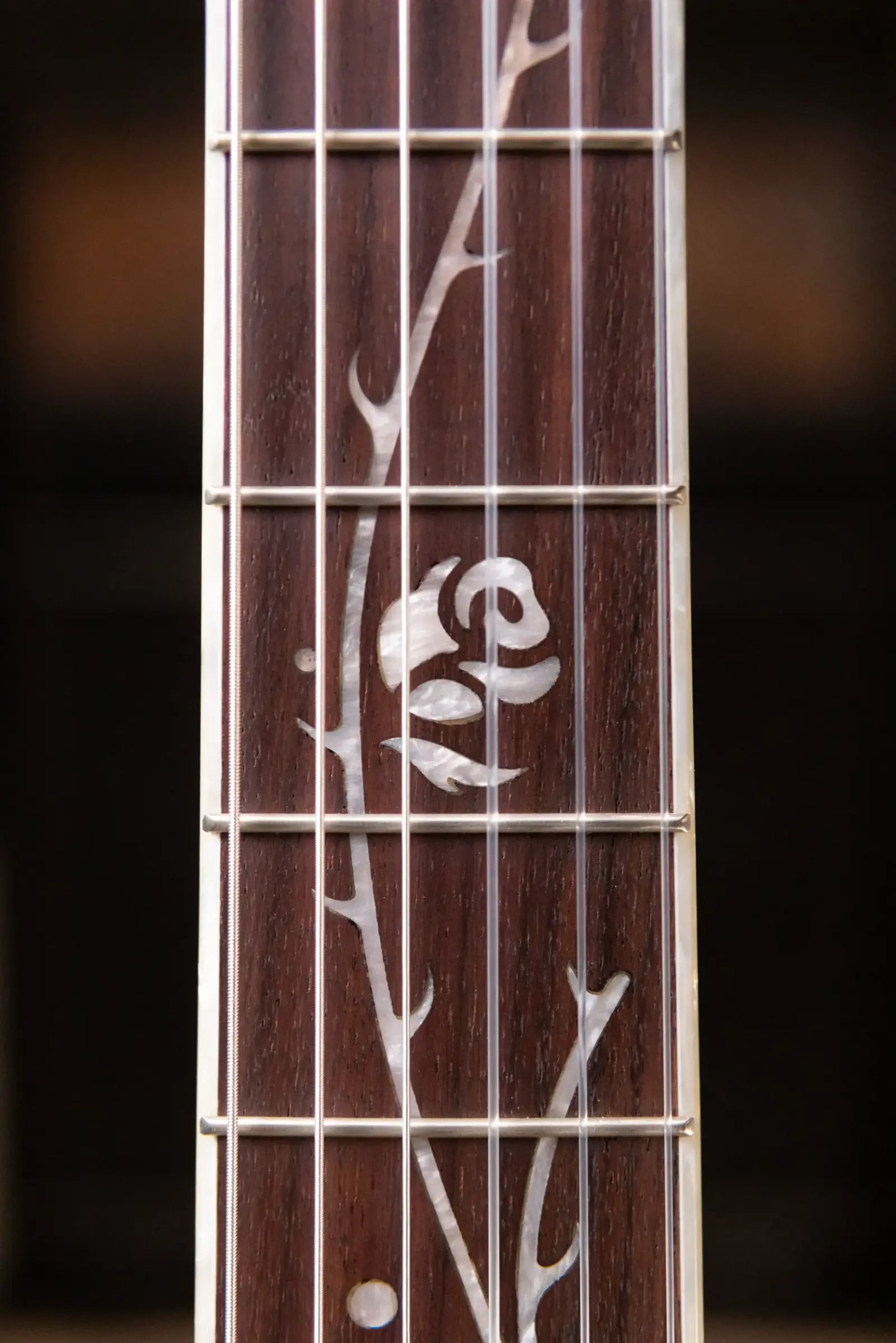 Ibanez TOD10NTKF Tim Henson Signature Electric Guitar - Transparent Black Flat with Gig Bag