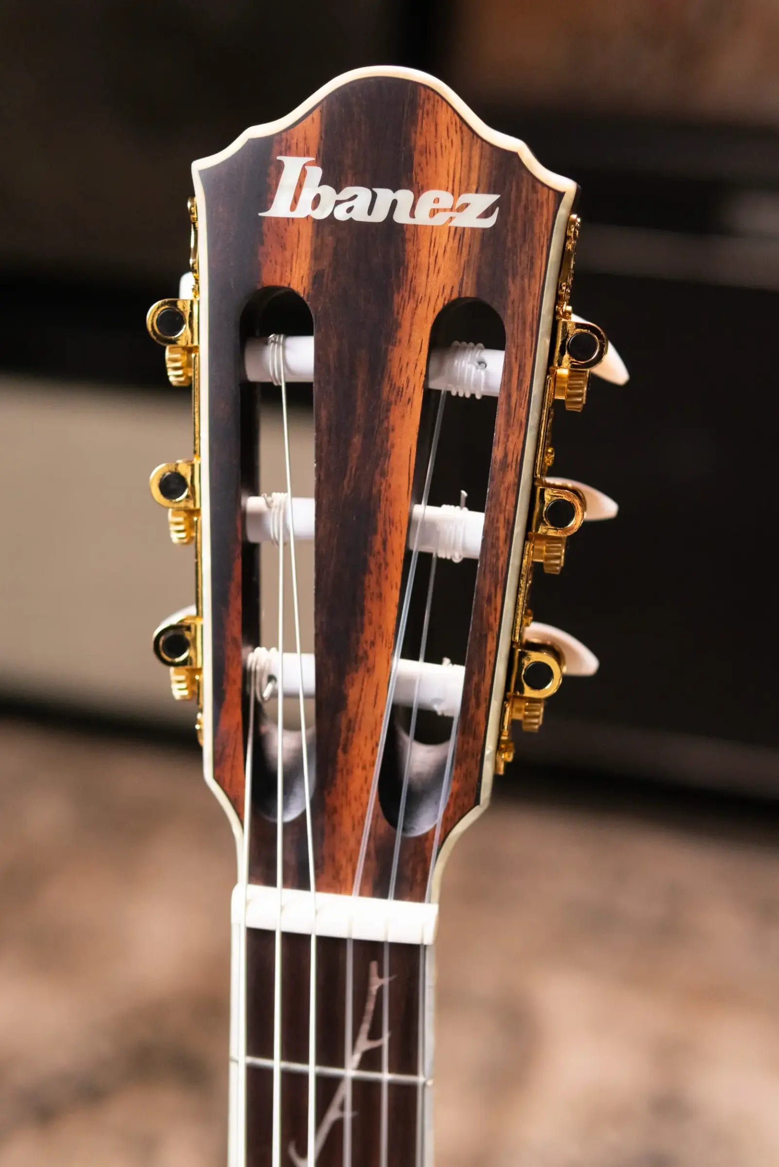 Ibanez TOD10NTKF Tim Henson Signature Electric Guitar - Transparent Black Flat with Gig Bag