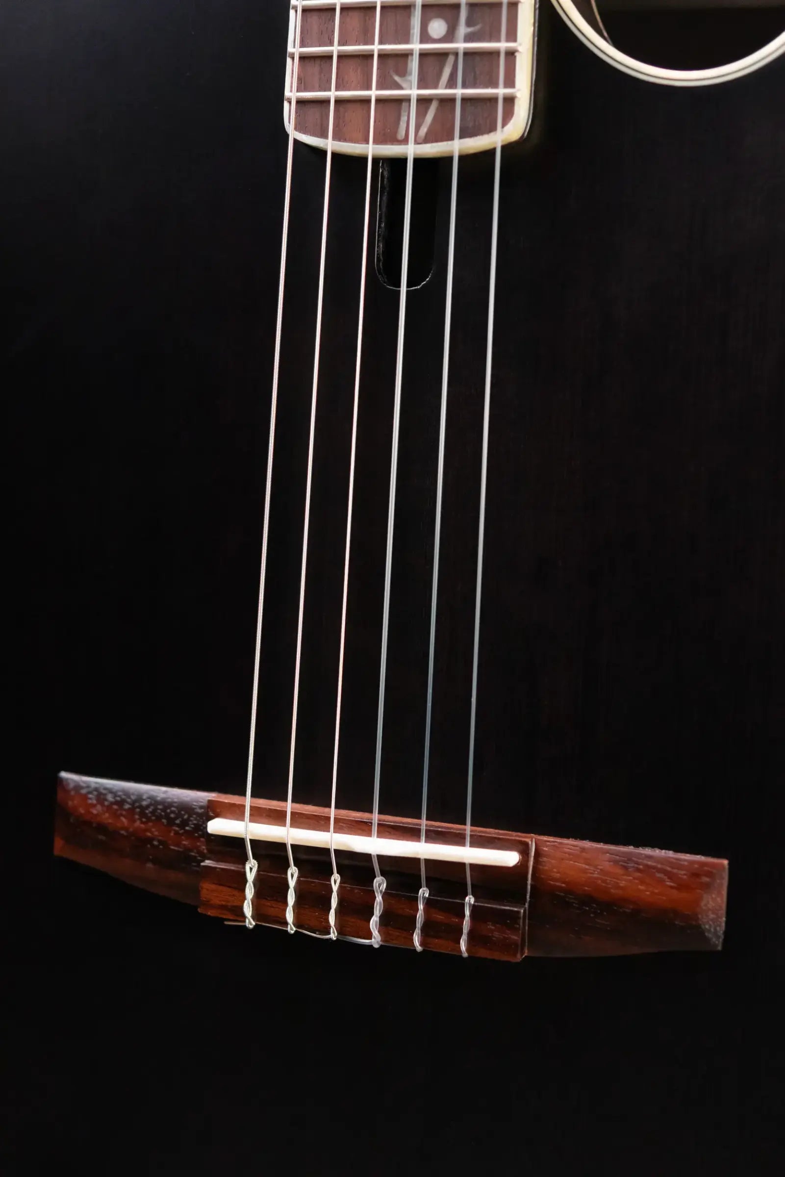 Ibanez TOD10NTKF Tim Henson Signature Electric Guitar - Transparent Black Flat with Gig Bag