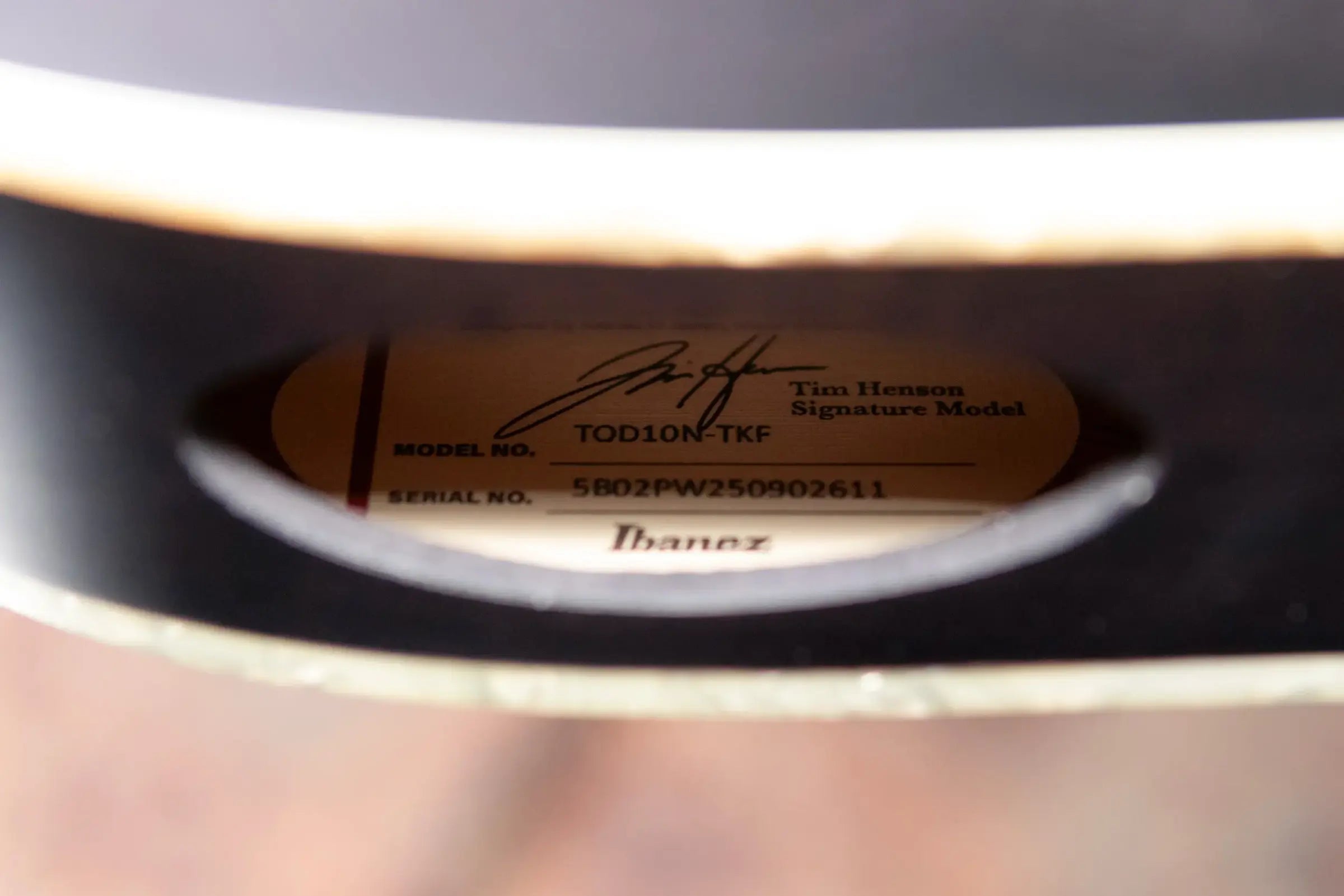 Ibanez TOD10NTKF Tim Henson Signature Electric Guitar - Transparent Black Flat with Gig Bag