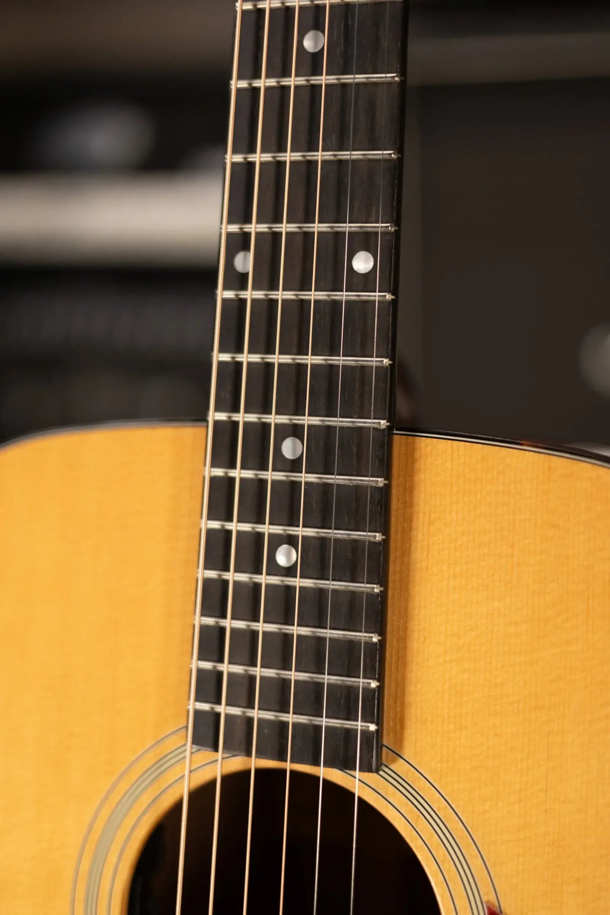 Eastman E1OM-DLX Acoustic/Electric Guitar with Gig Bag