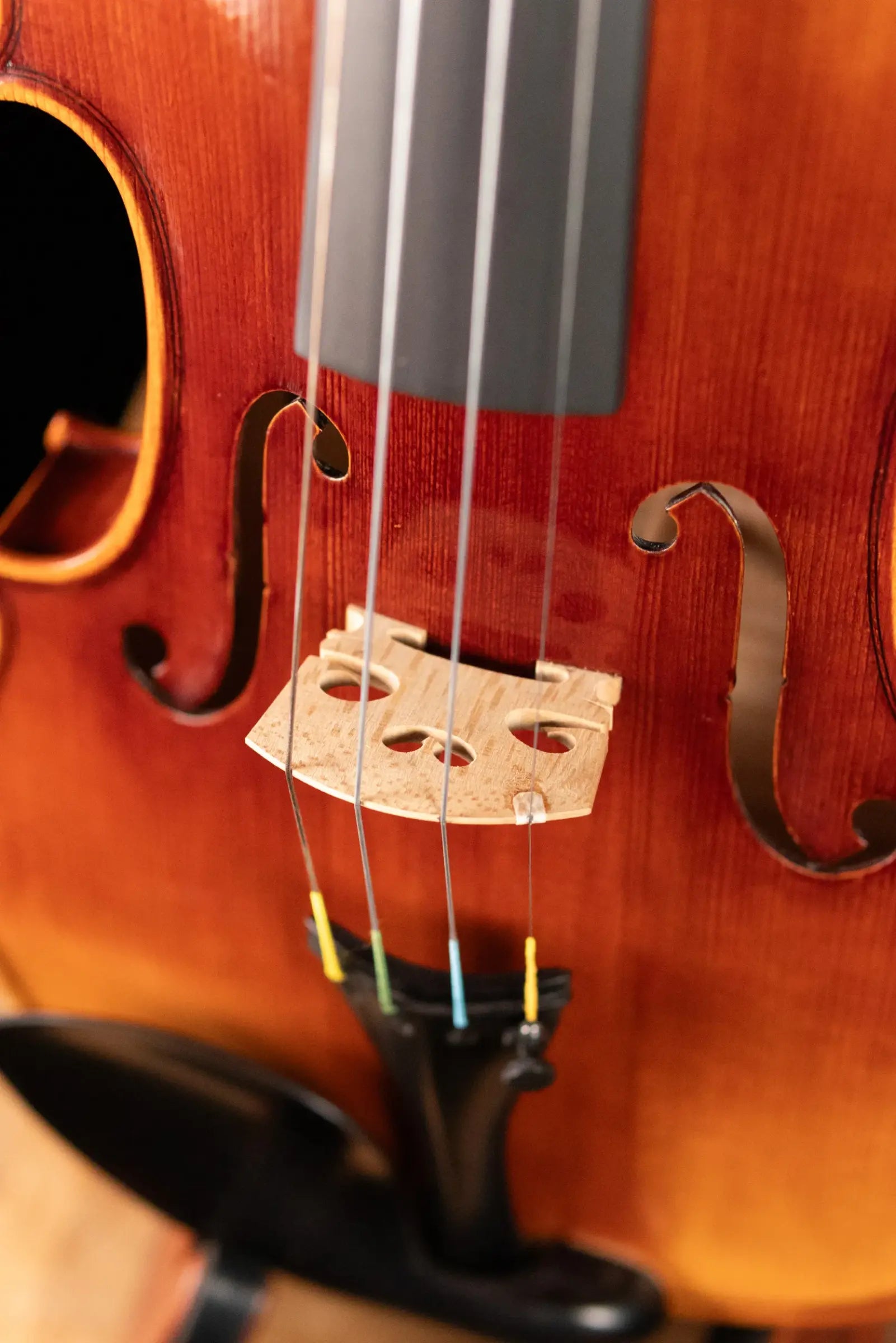 Scott Cao STV-850 Cremonese 1715 Strad 1-Piece Back Violin - 4/4