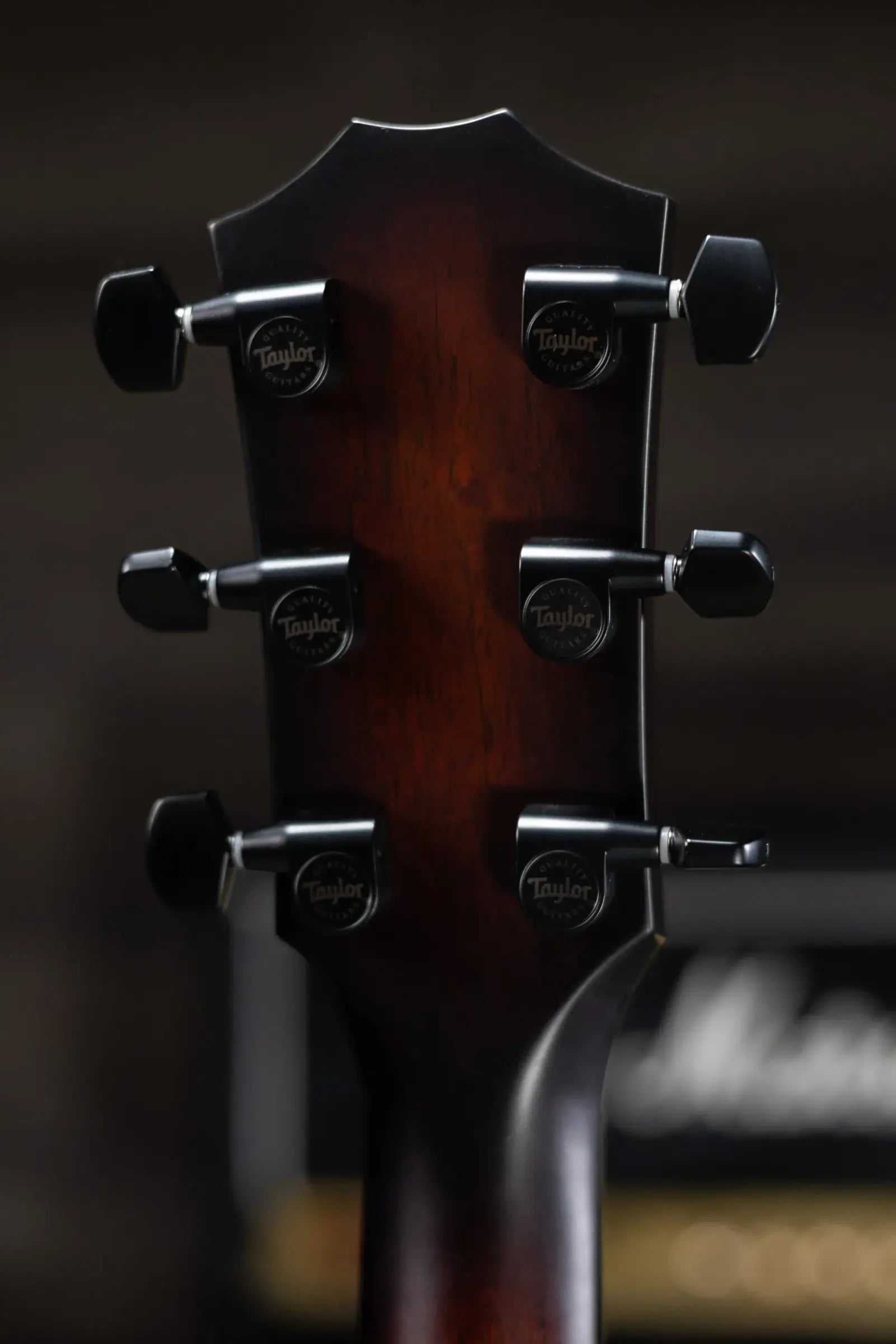 Taylor Next Generation Builders Edition 324ce Grand Auditorium Acoustic/Electric Guitar - Kona Burst with Hardshell Case