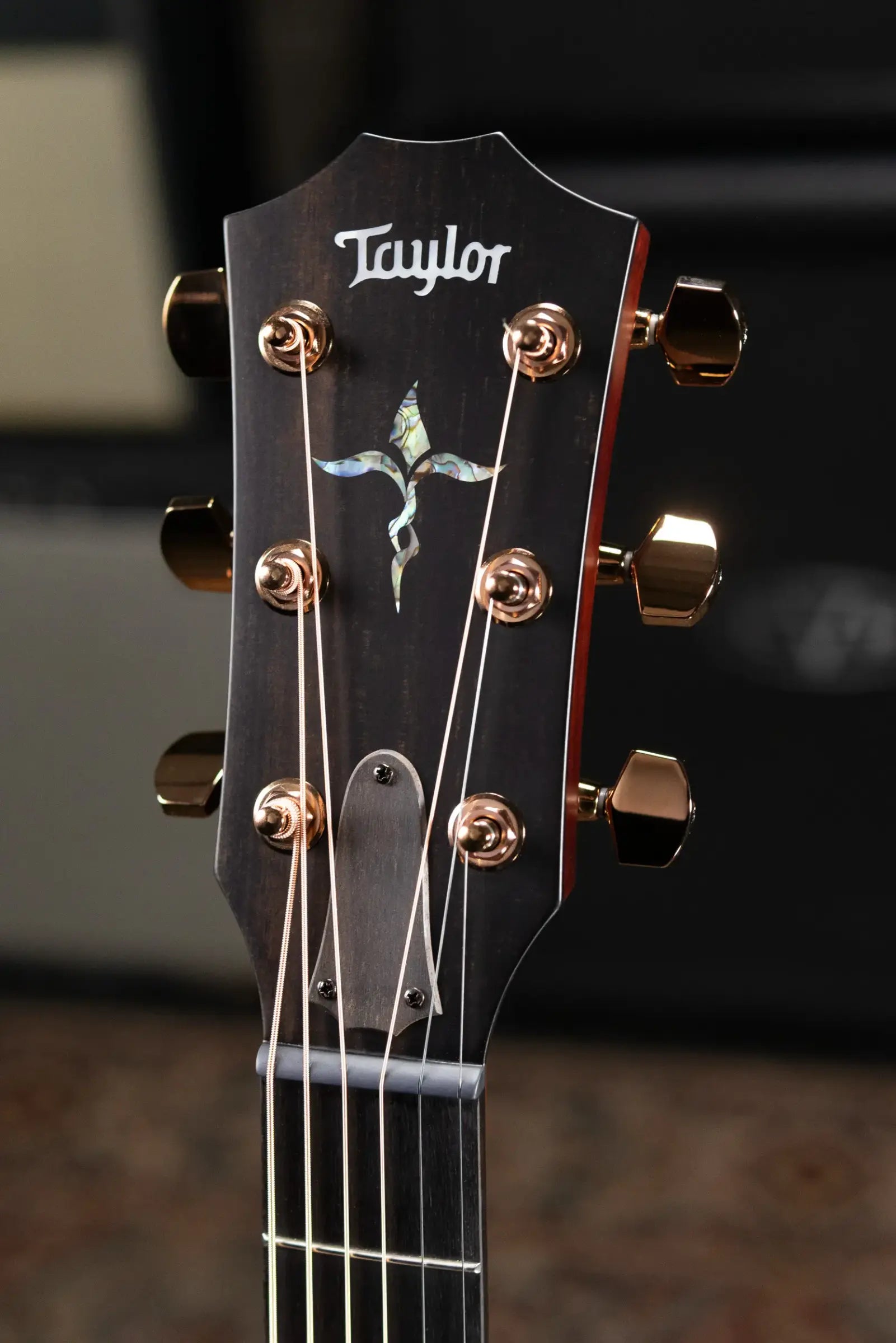 Taylor Next Generation K24ce Special Edition Grand Auditorium Acoustic/Electric Guitar - Shaded Edgeburst with Hardshell Case