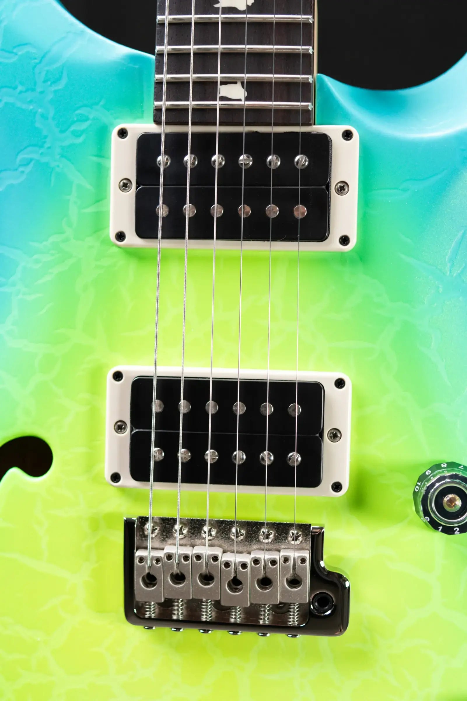 PRS CE 24 Semi-hollow Electric Guitar - Sprayer's Choice with Gig Bag