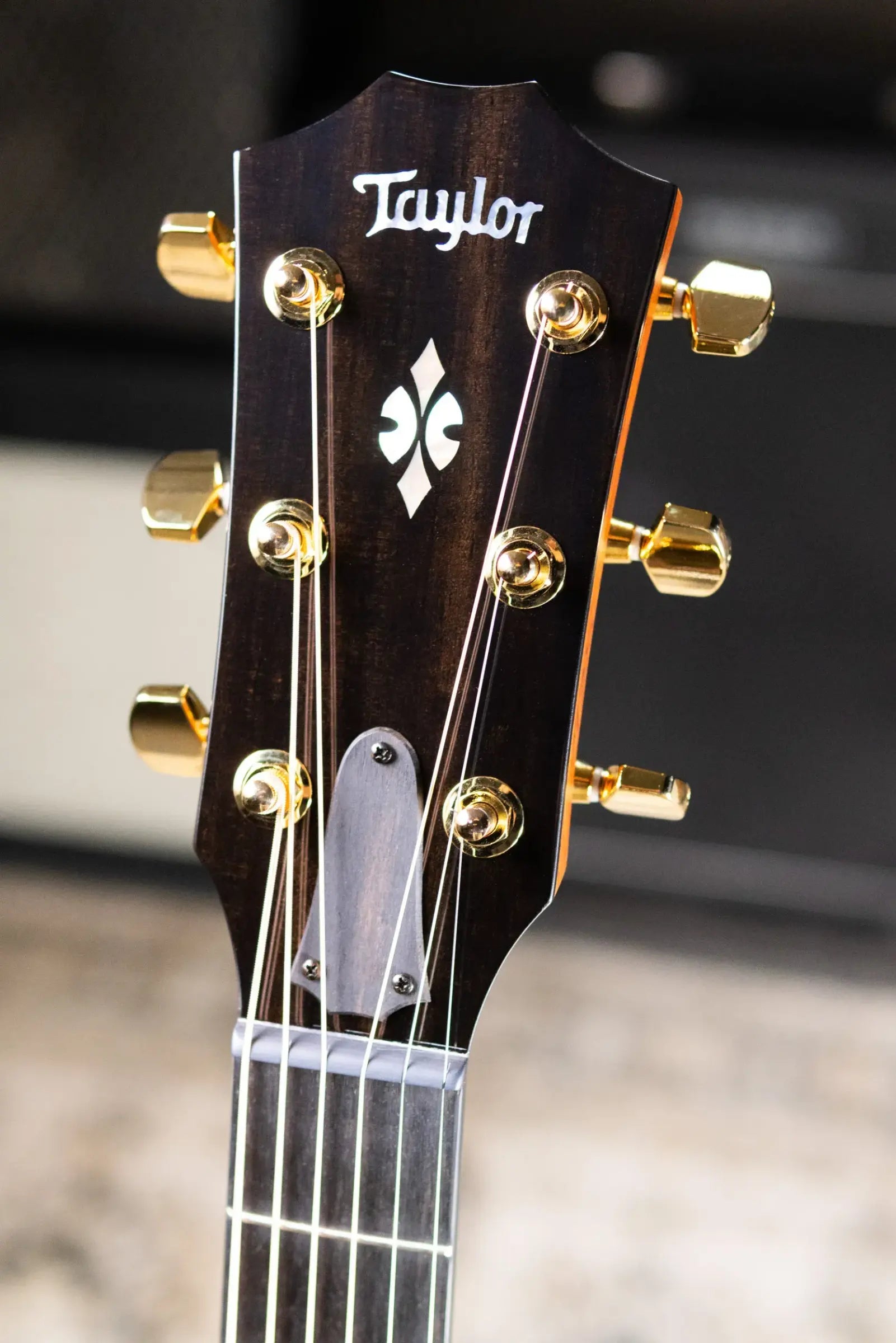 Taylor Next Generation 712ce Grand Concert Acoustic/Electric Guitar - Indian Rosewood/Cedar with Hardshell Case
