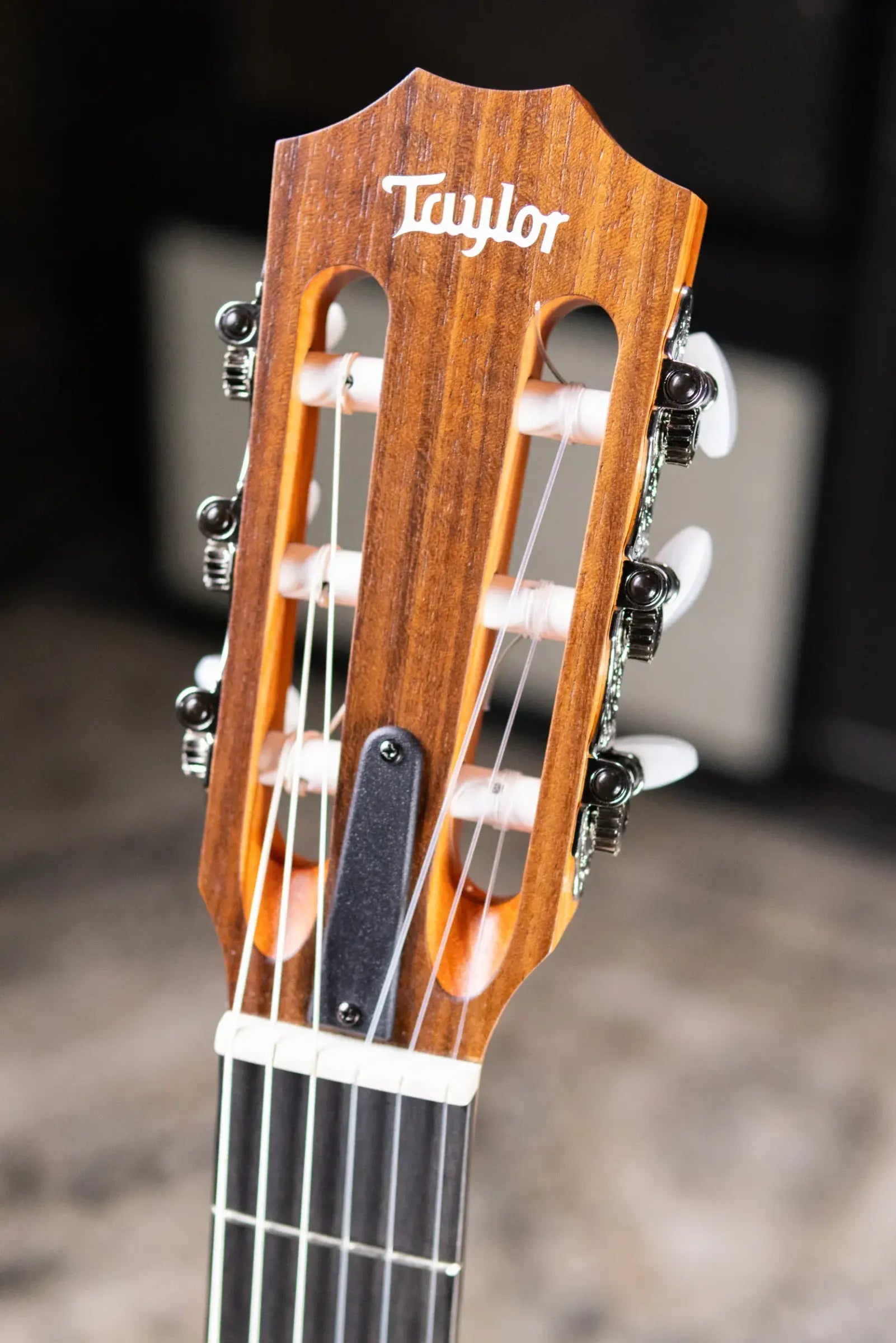 Taylor Academy 12e-N Nylon Grand Concert Acoustic/Electric Guitar with Gig Bag