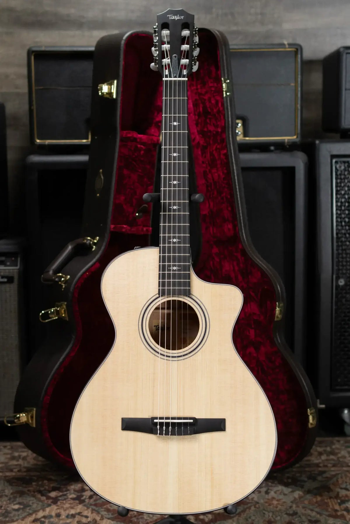 Taylor 312ce-N Nylon Grand Concert Acoustic/Electric Guitar - Natural with Hardshell Case