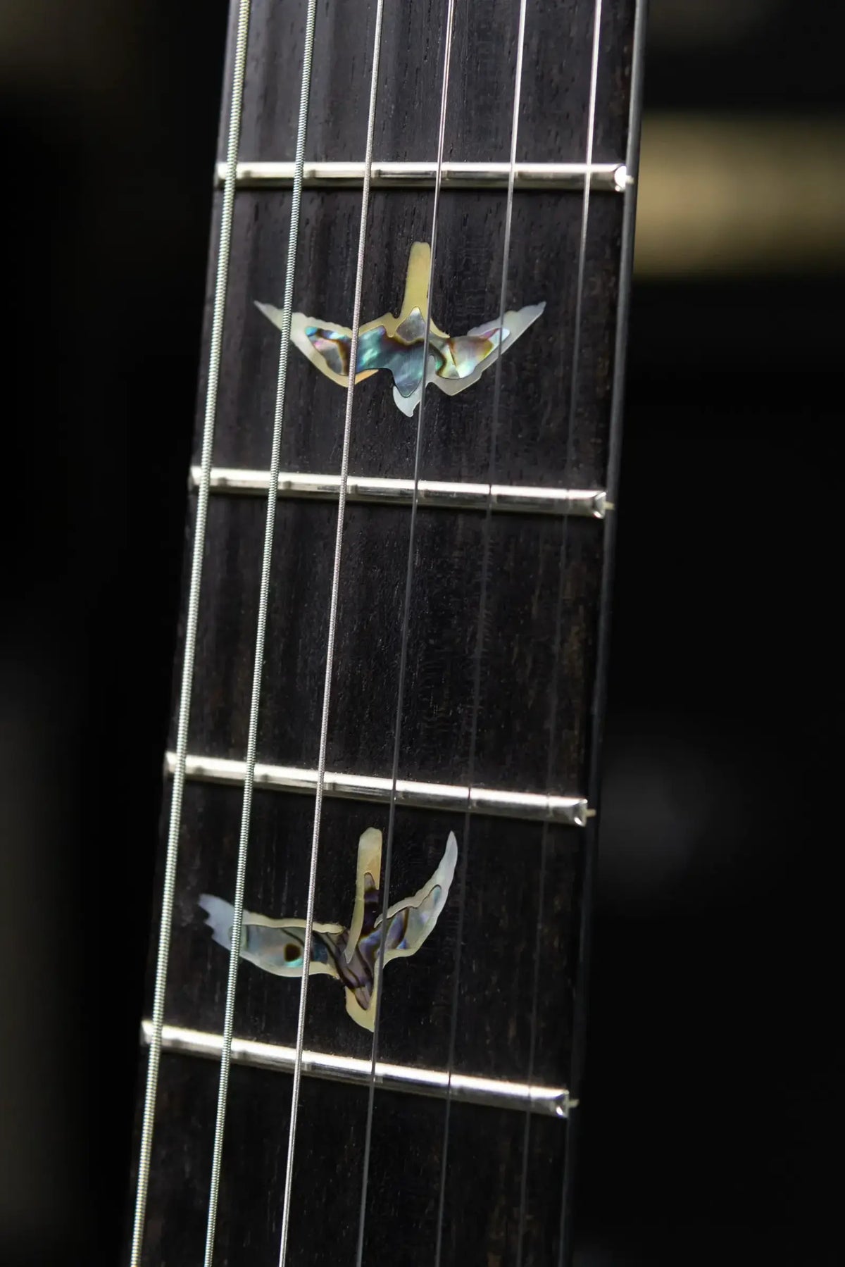 PRS Wood Library Custom 24 10-Top with Hardshell Case - Used