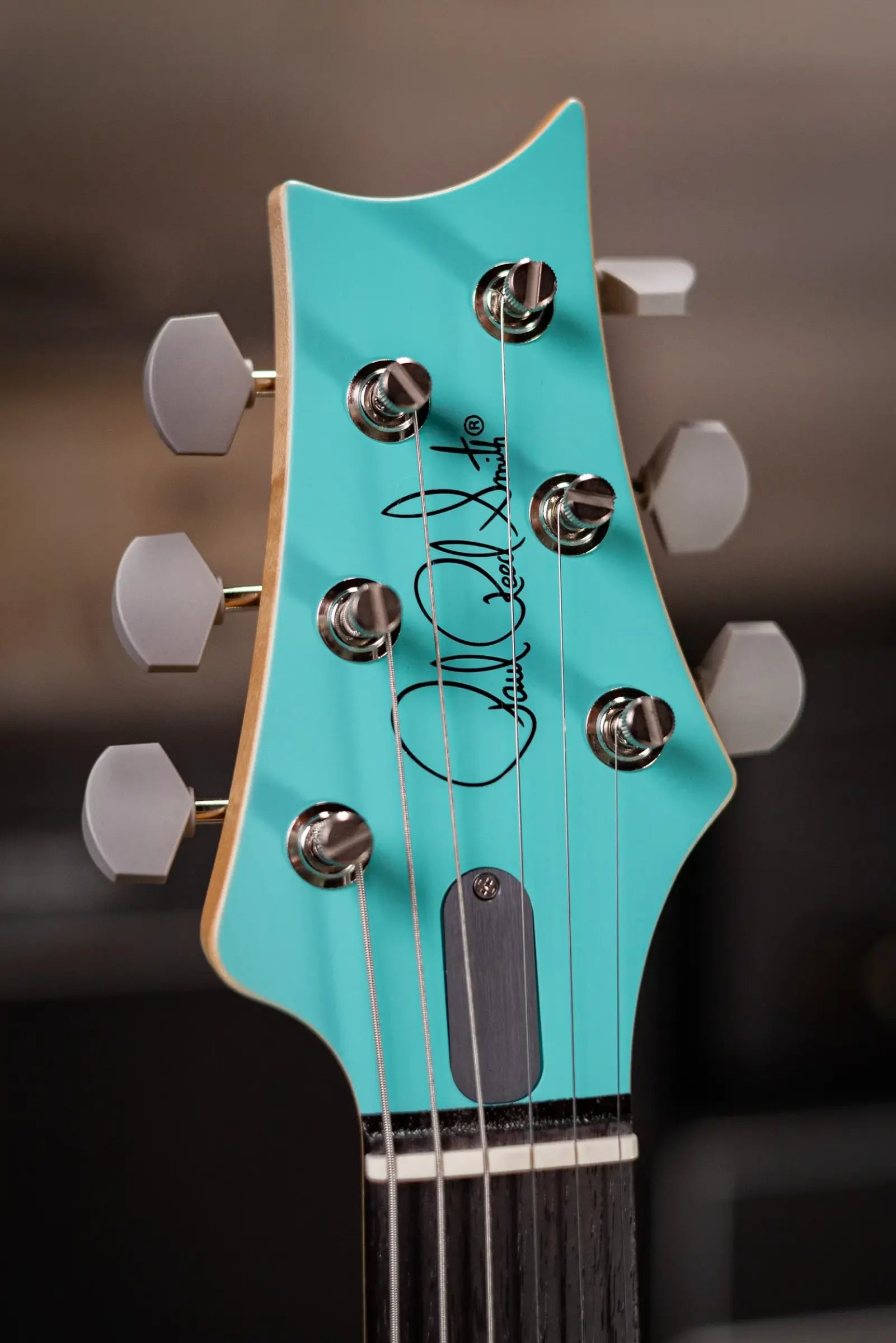 PRS Silver Sky Limited Edition Electric Guitar - Wild Blue with Gig Bag