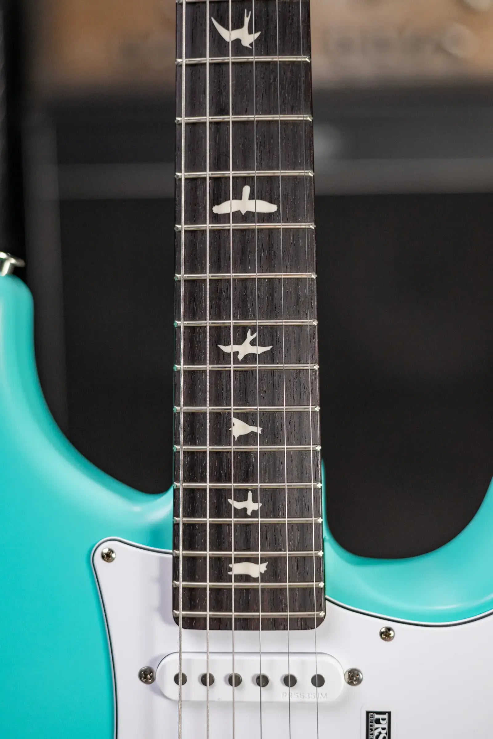 PRS Silver Sky Limited Edition Electric Guitar - Wild Blue with Gig Bag