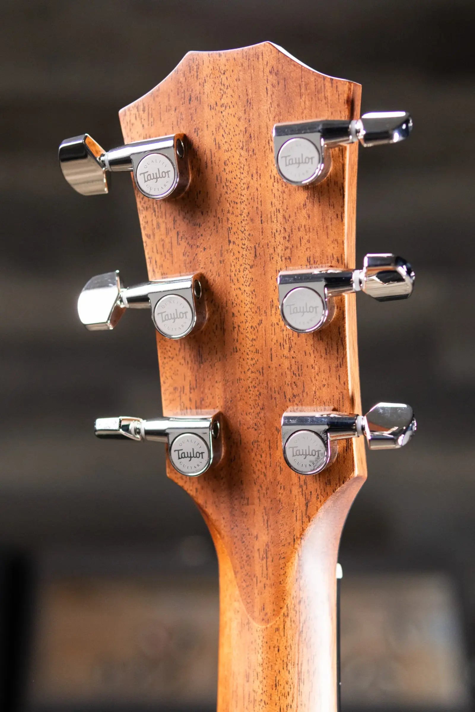 Taylor 414ce Studio Special Edition Acoustic/Electric Guitar - Honeyburst with Gig Bag