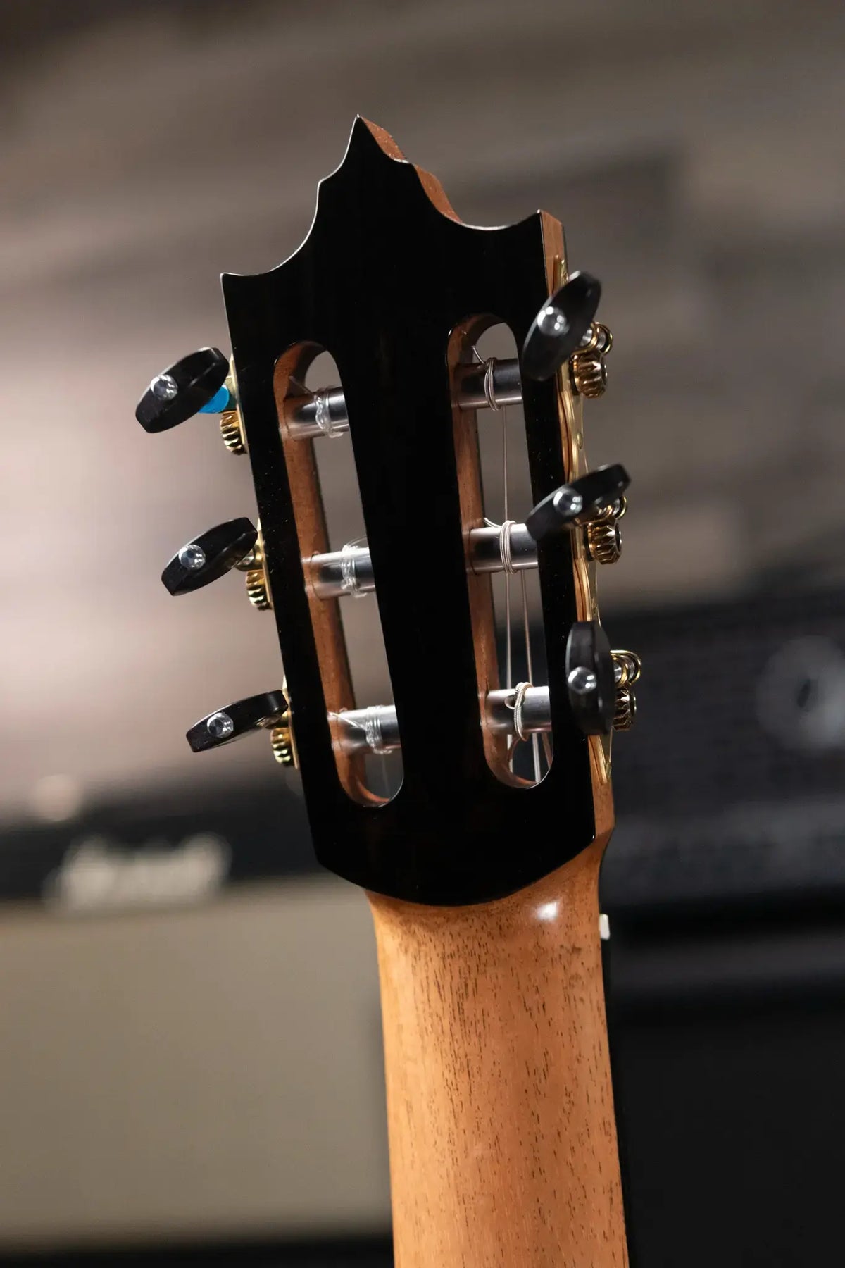Jose Marques Doubletop Classical Acoustic Guitar - Exotic Ebony, Cedar Top with Hardshell Case
