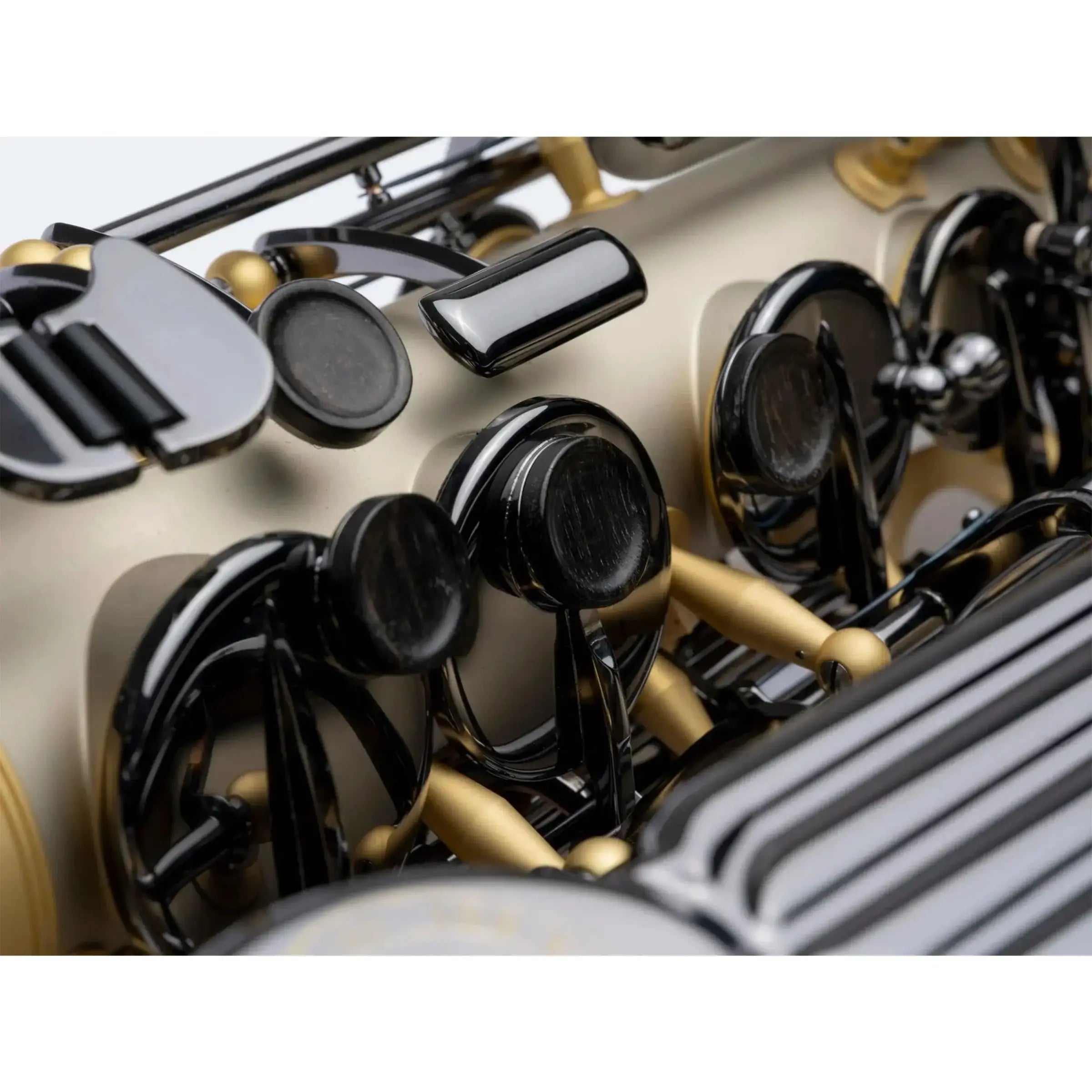 Keilwerth 100th Anniversary Professional Alto Saxophone with Leather Case