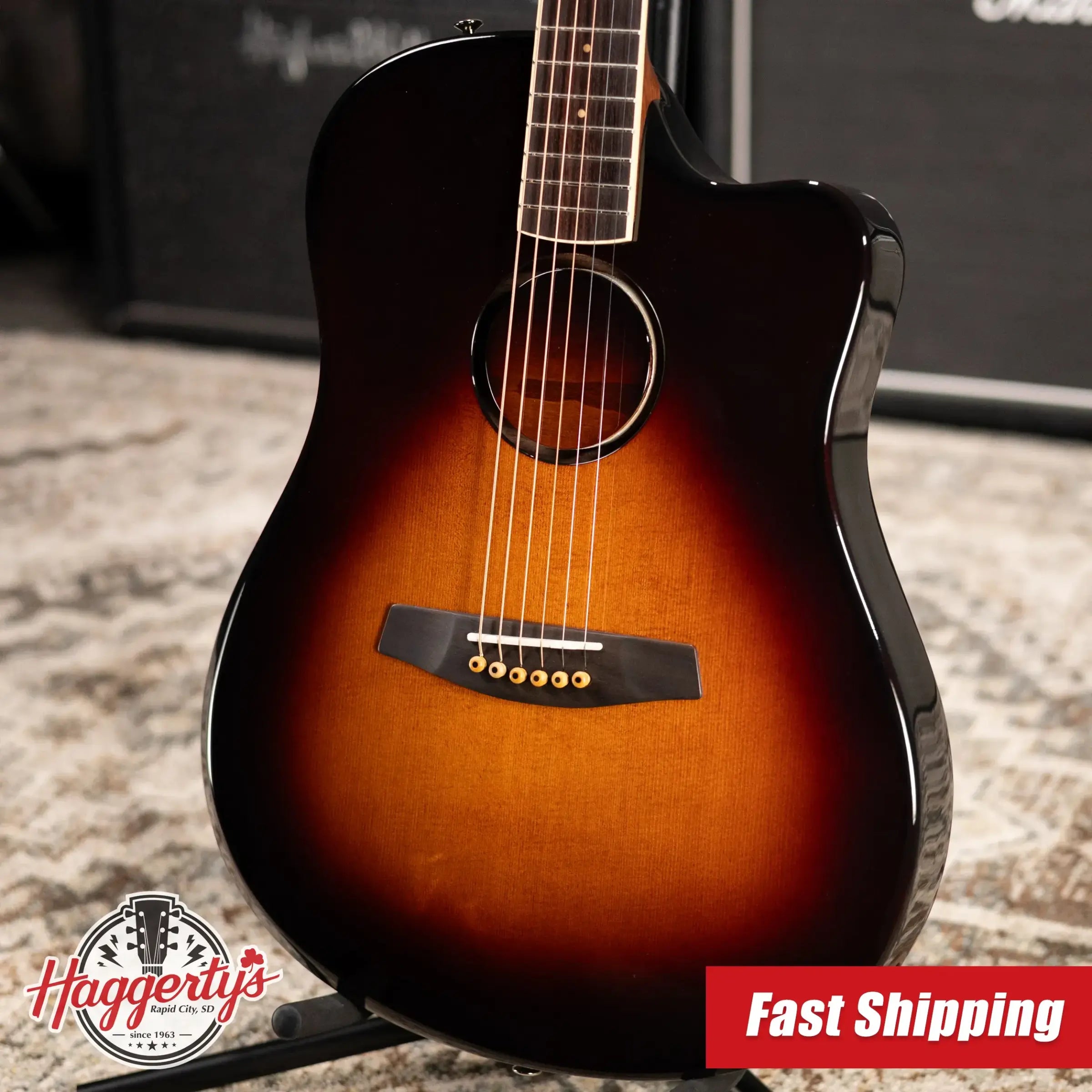 LR Baggs AEG-1 Acoustic/Electric Guitar with Gig Bag - Used