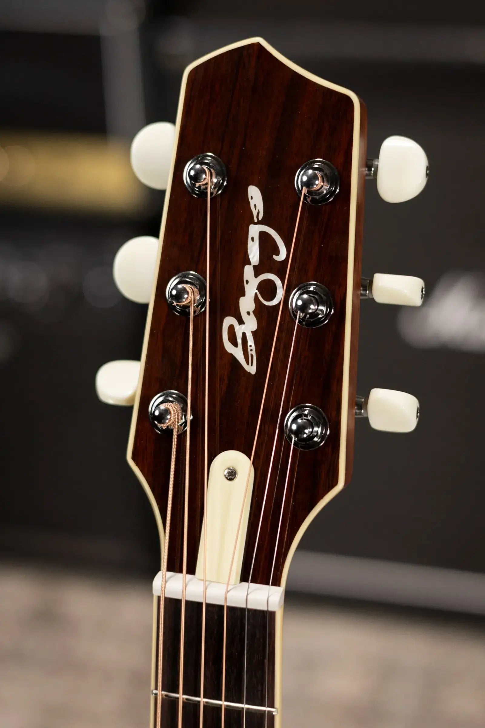 LR Baggs AEG-1 Acoustic/Electric Guitar with Gig Bag - Used