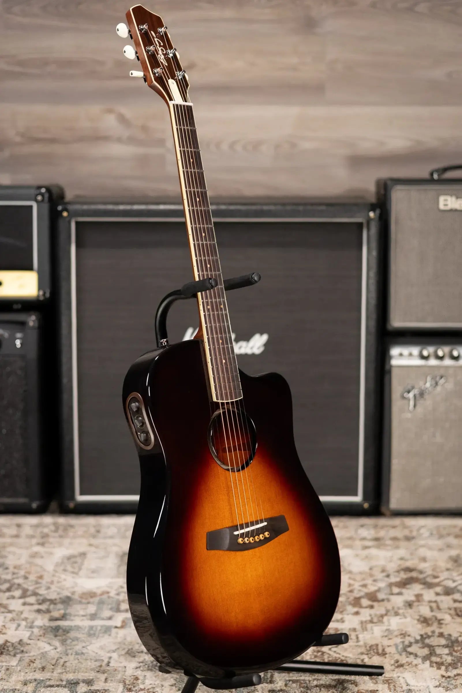 LR Baggs AEG-1 Acoustic/Electric Guitar with Gig Bag - Used
