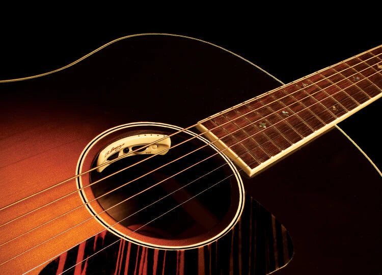 LR Baggs Anthem Tru Mic & Element Pickup