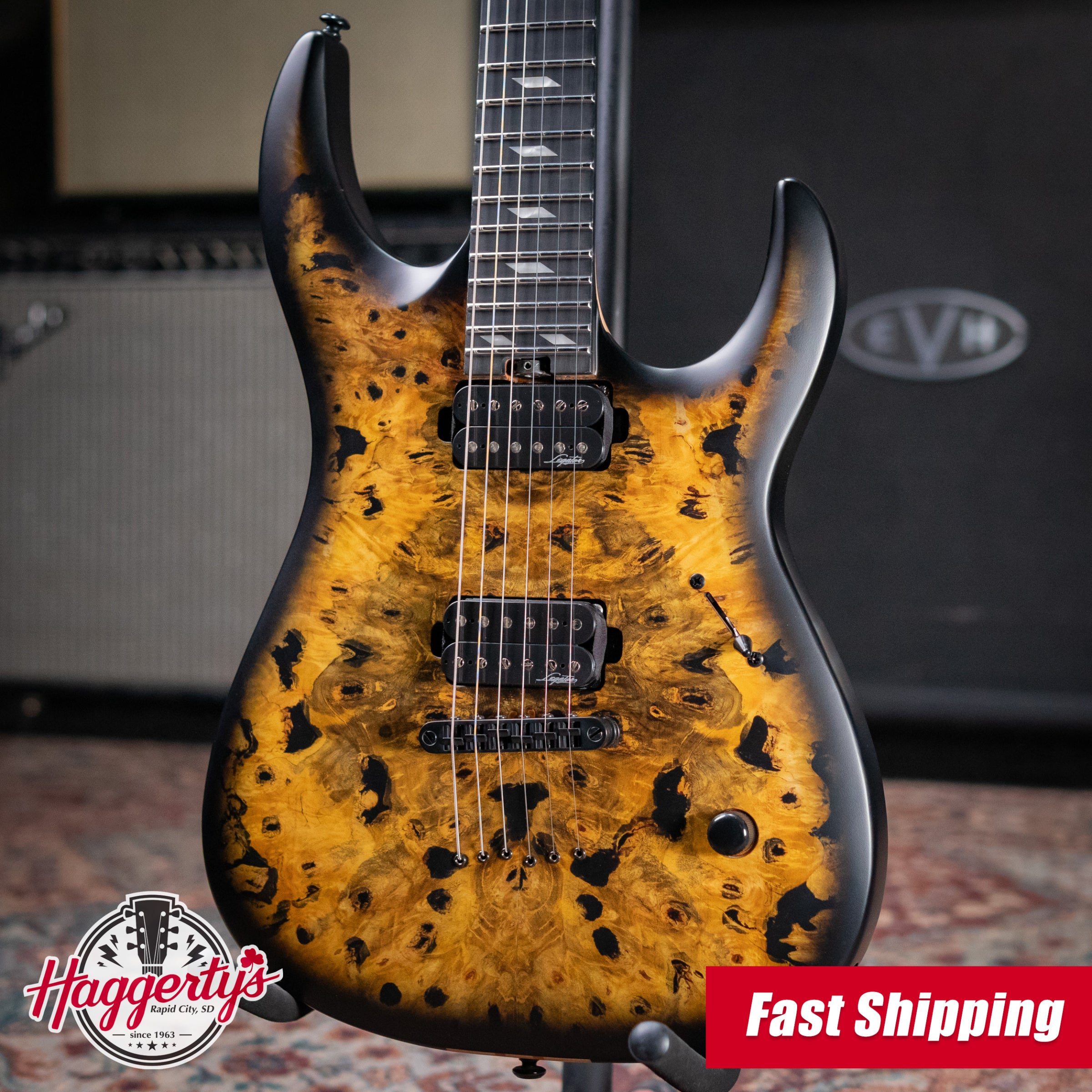 Legator N300-JB Electric Guitar - Jupiter Burst with Gig Bag