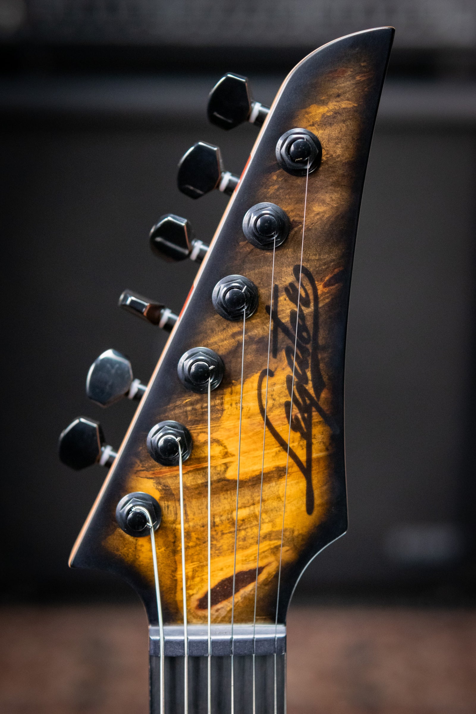 Legator N300-JB Electric Guitar - Jupiter Burst with Gig Bag