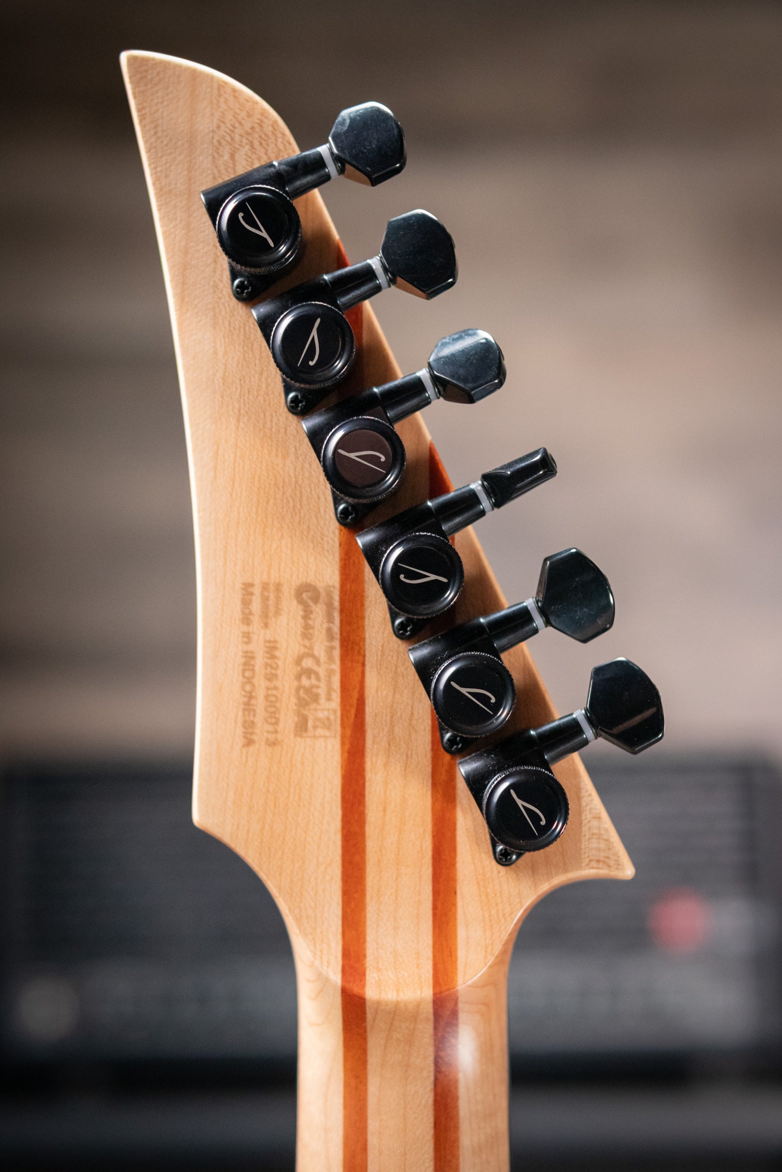 Legator N300-JB Electric Guitar - Jupiter Burst with Gig Bag