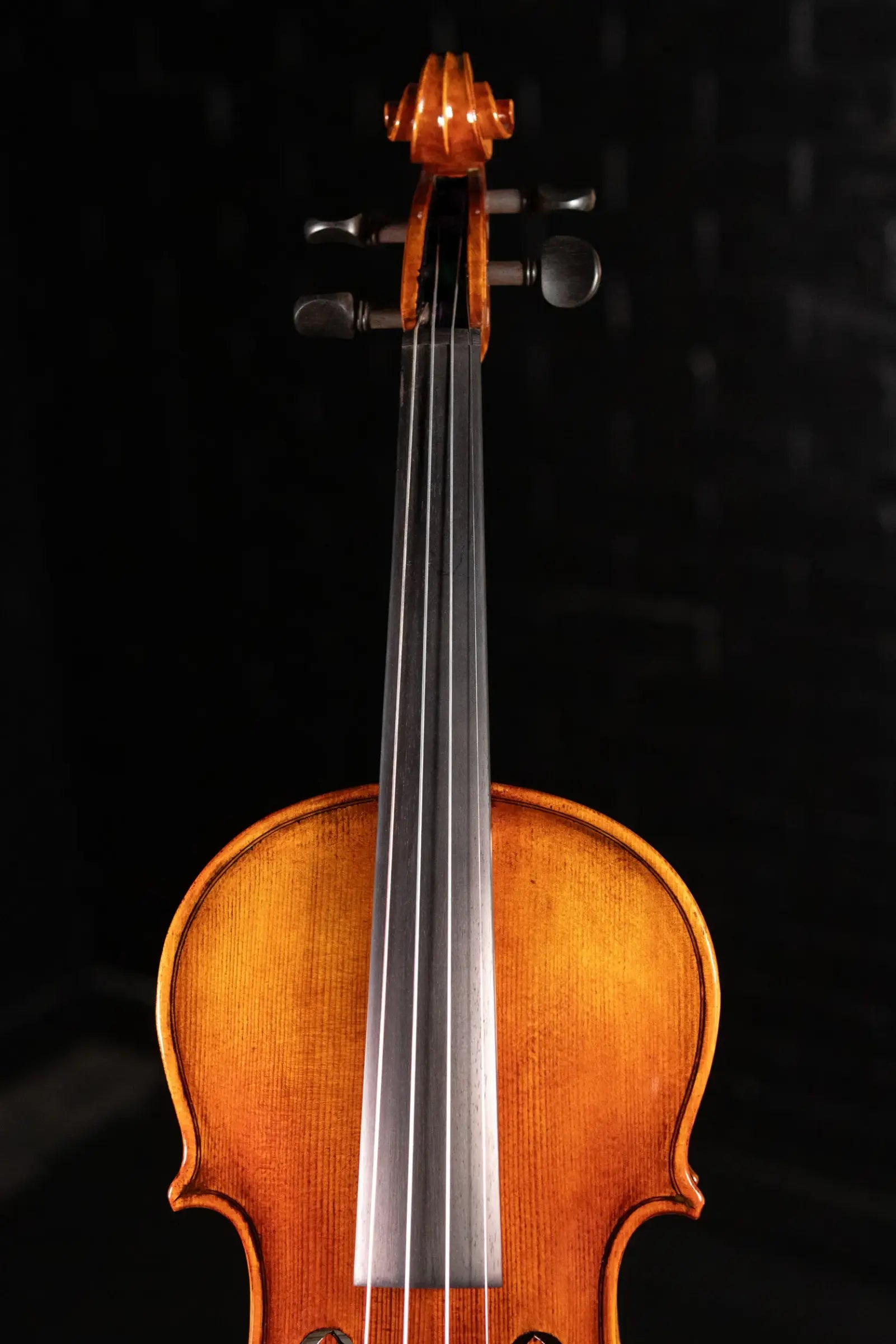 Maple Leaf Strings Artisan Collection Lady Claire Violin - 4/4